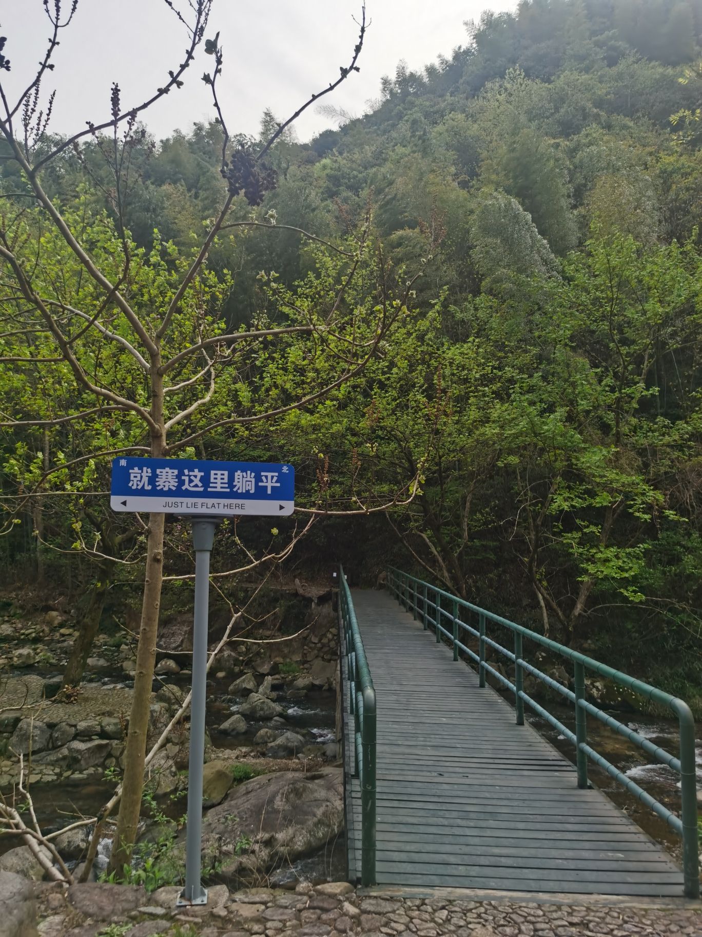 浙东小九寨旅行图片 3