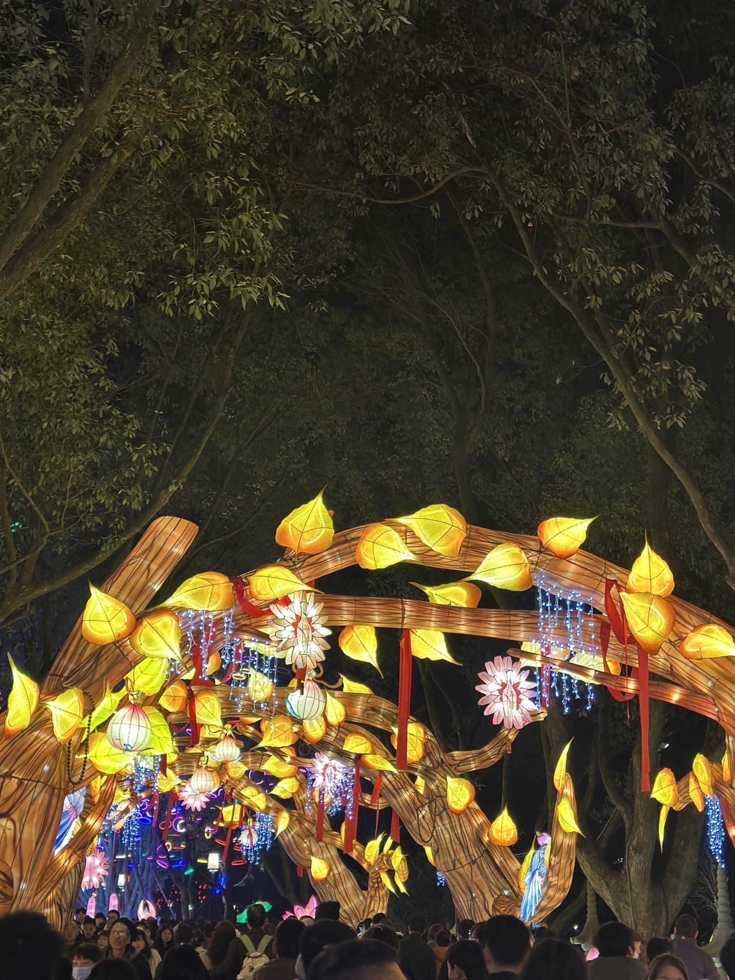 大佛寺风景名胜区旅行图片 1