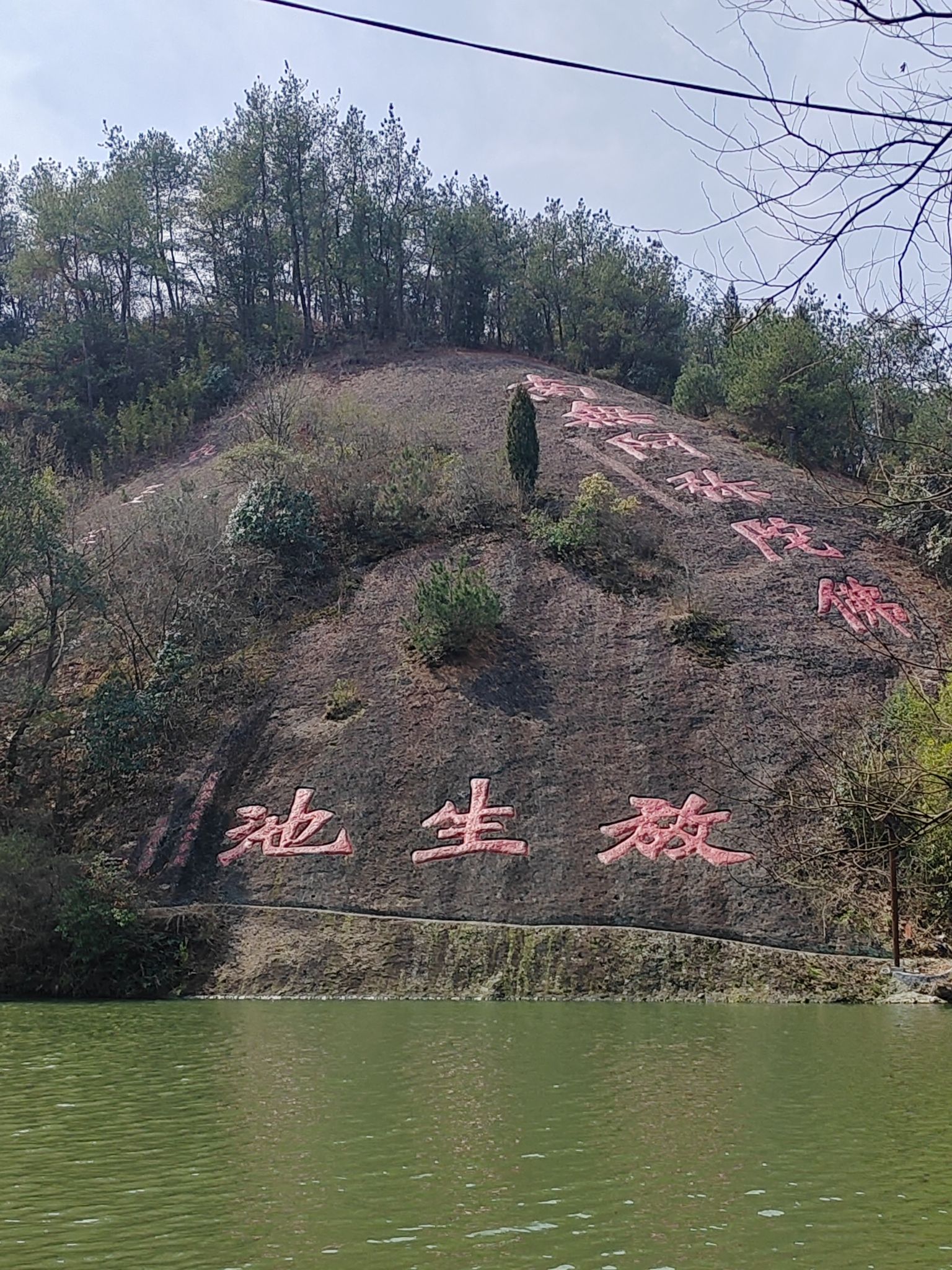 大佛寺风景名胜区旅行图片 3