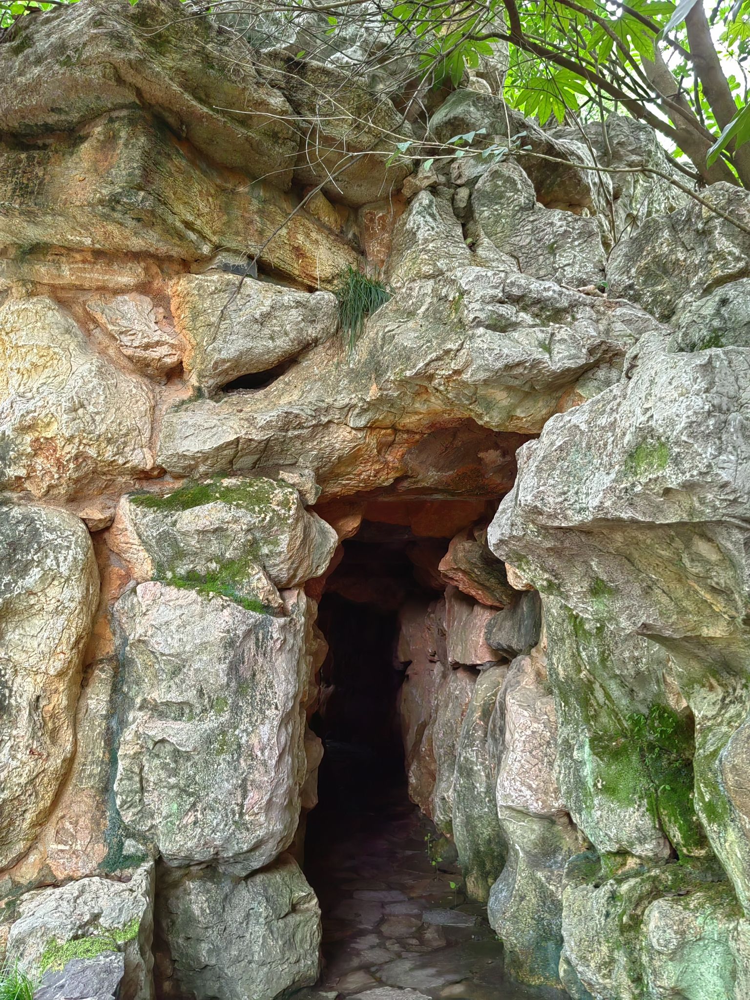 鹿山公园旅行图片 3
