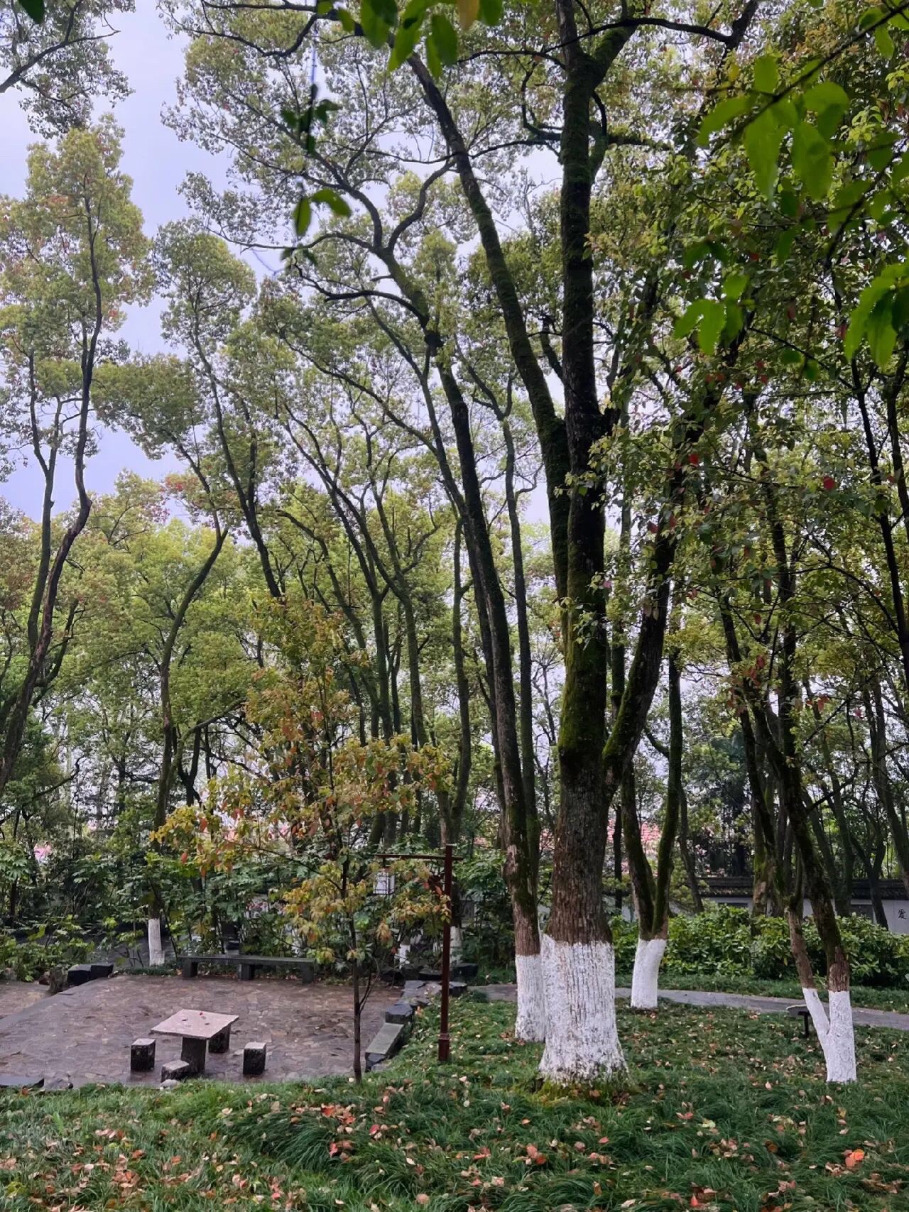 鹿山公园旅行图片 3