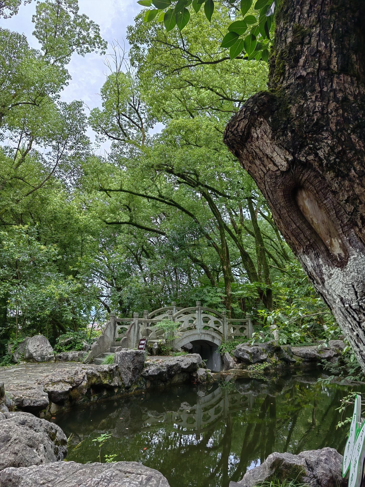 鹿山公园旅行图片 2