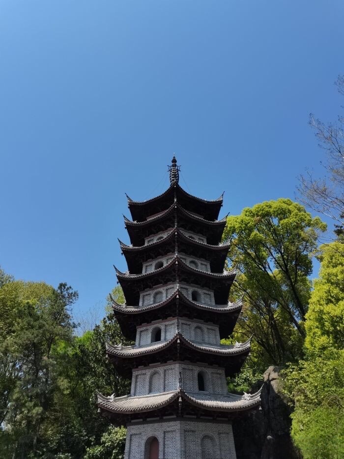 鹿山公园旅行图片 1