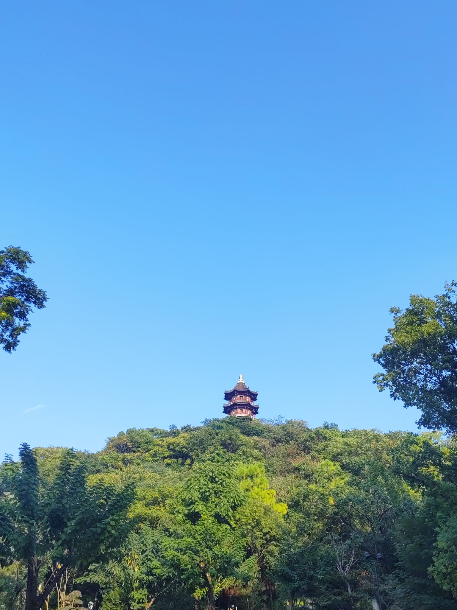 蕺山公园旅行图片 1