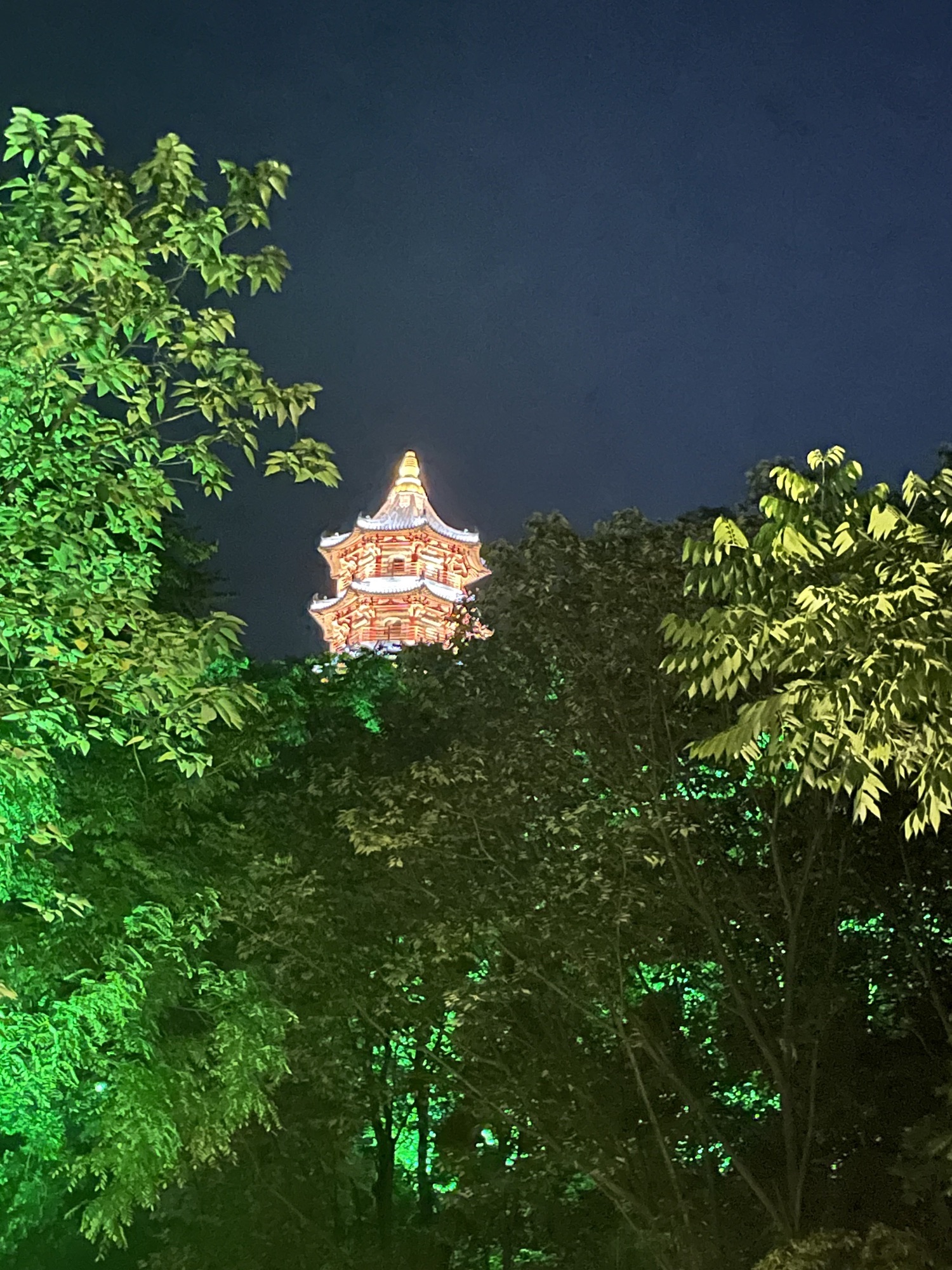 蕺山公园旅行图片 1