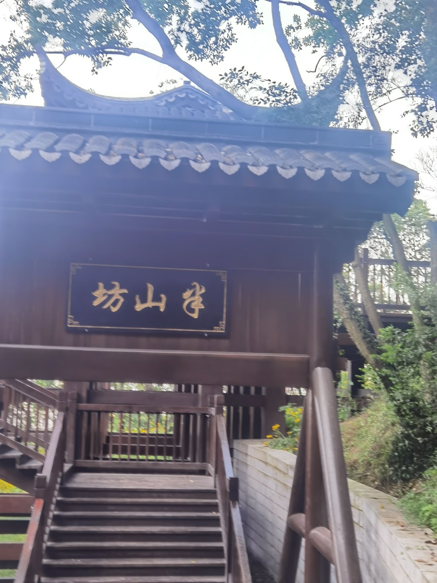 蕺山公园旅行图片 3