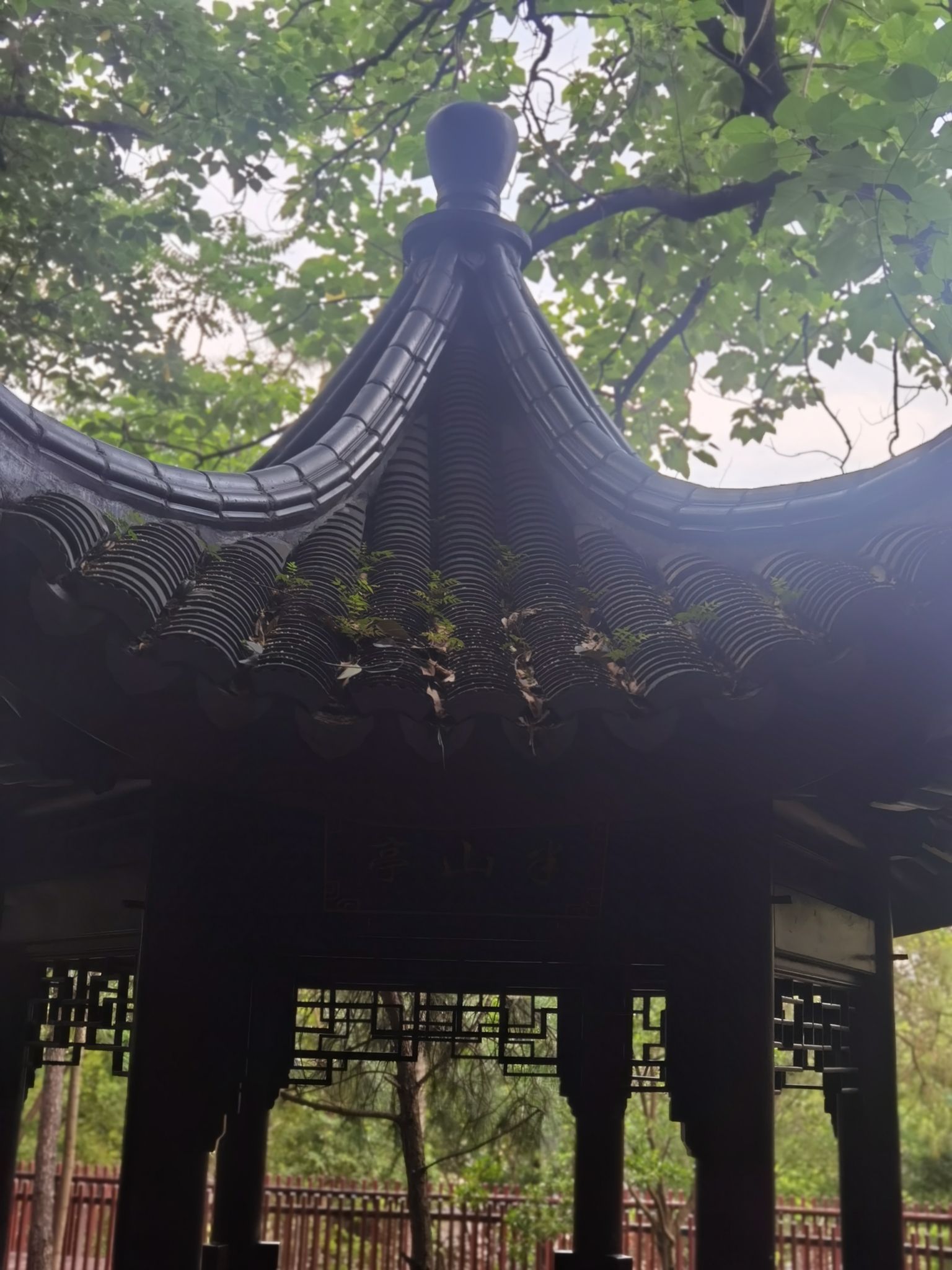 蕺山公园旅行图片 2