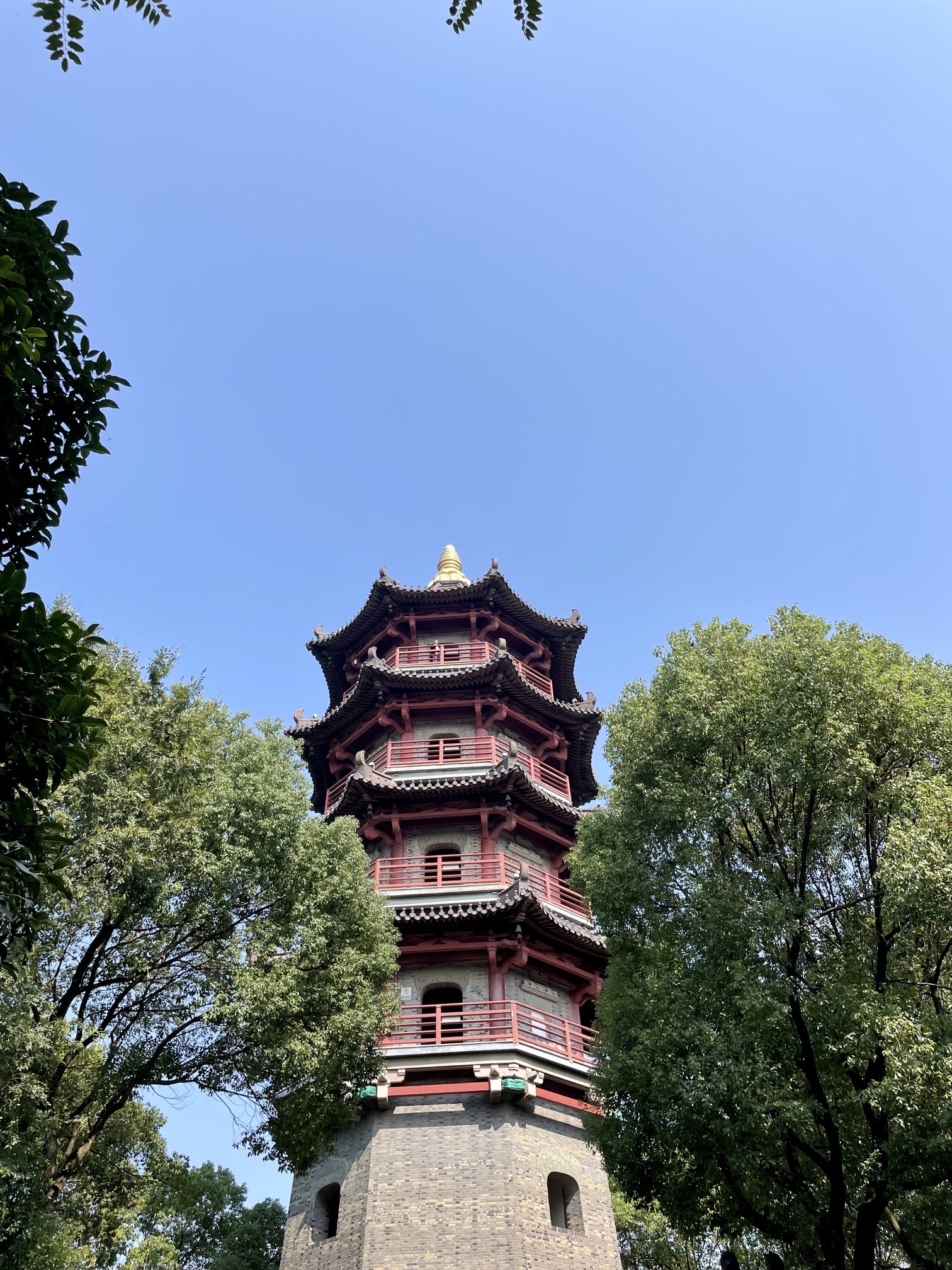 蕺山公园旅行图片 3