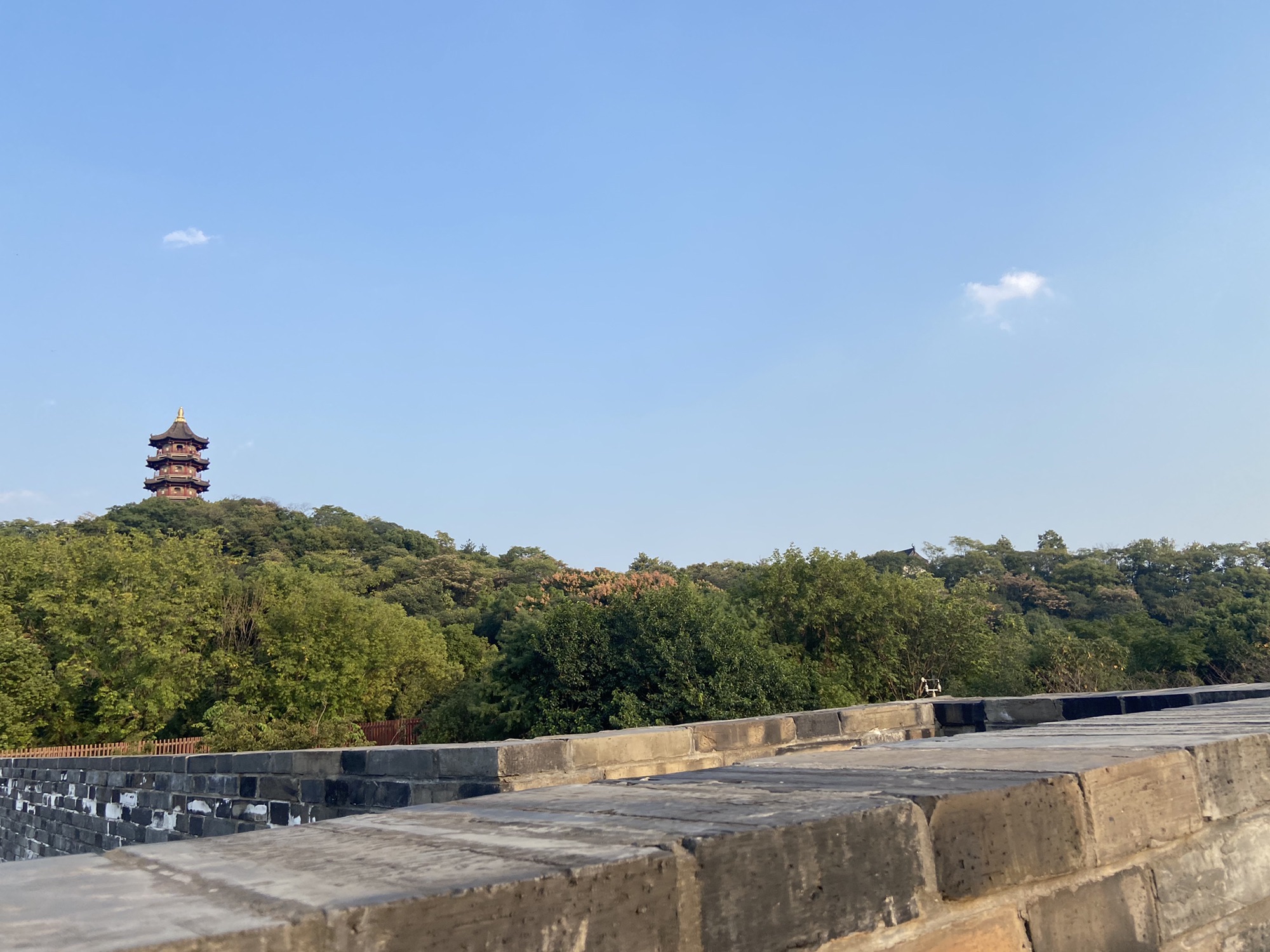 蕺山公园旅行图片 1