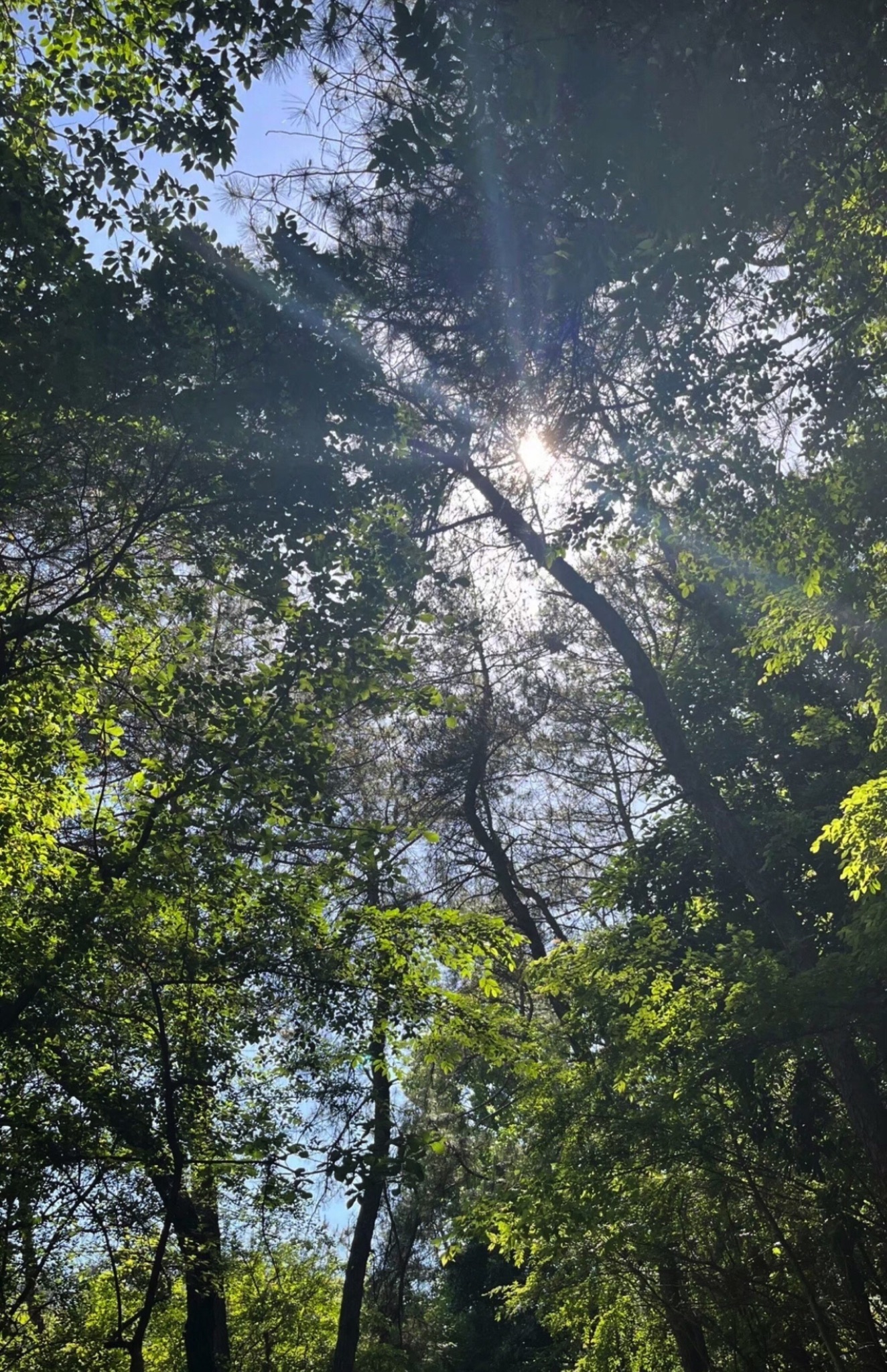 斗岩风景区旅行图片 1