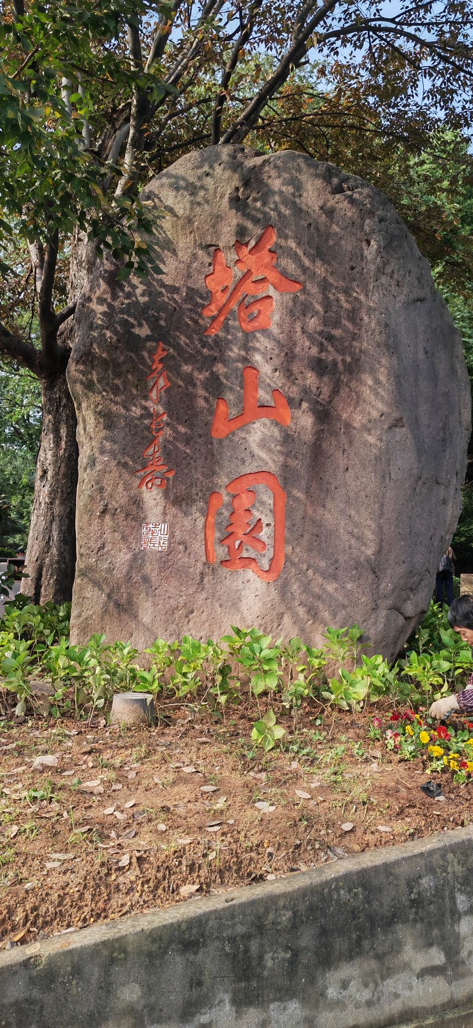 塔山园旅行图片 1