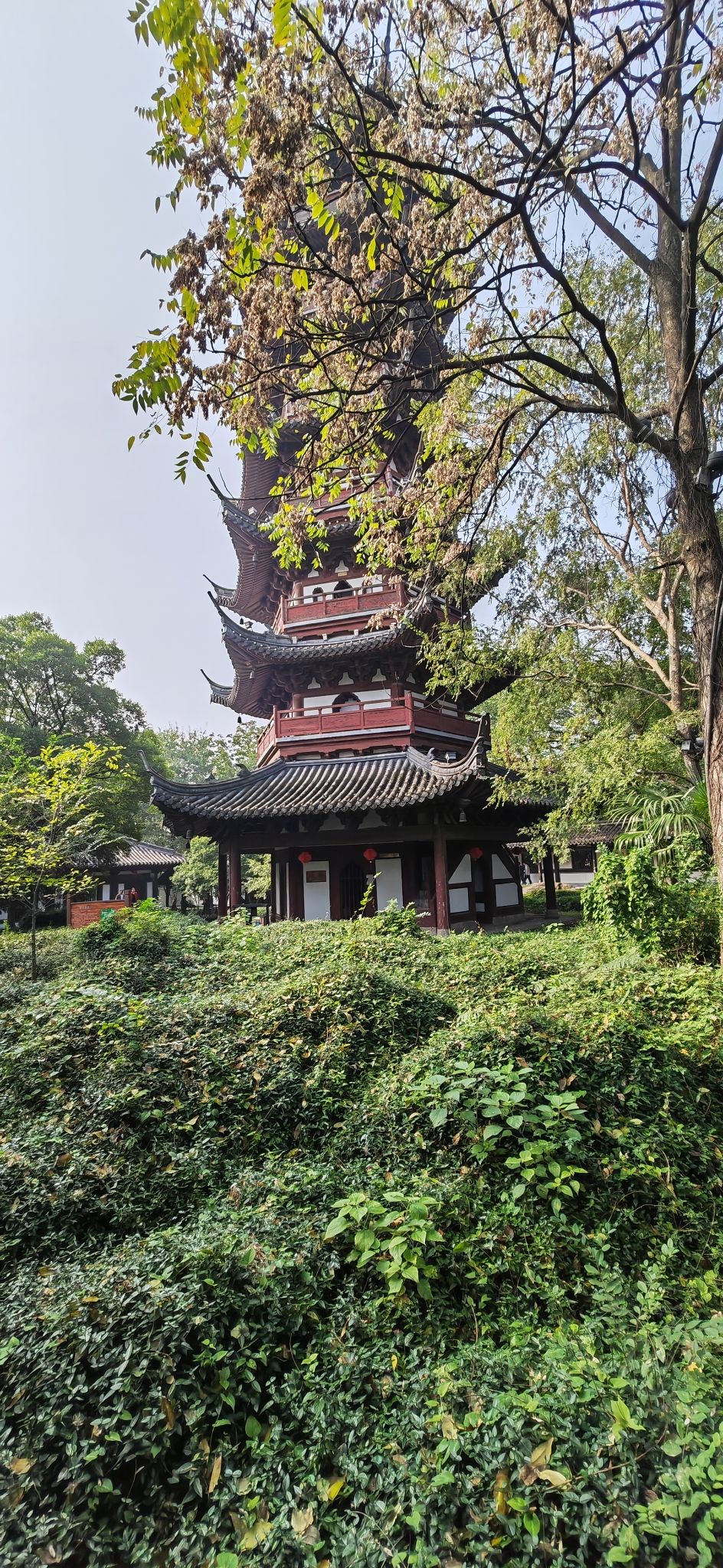 塔山园旅行图片 3