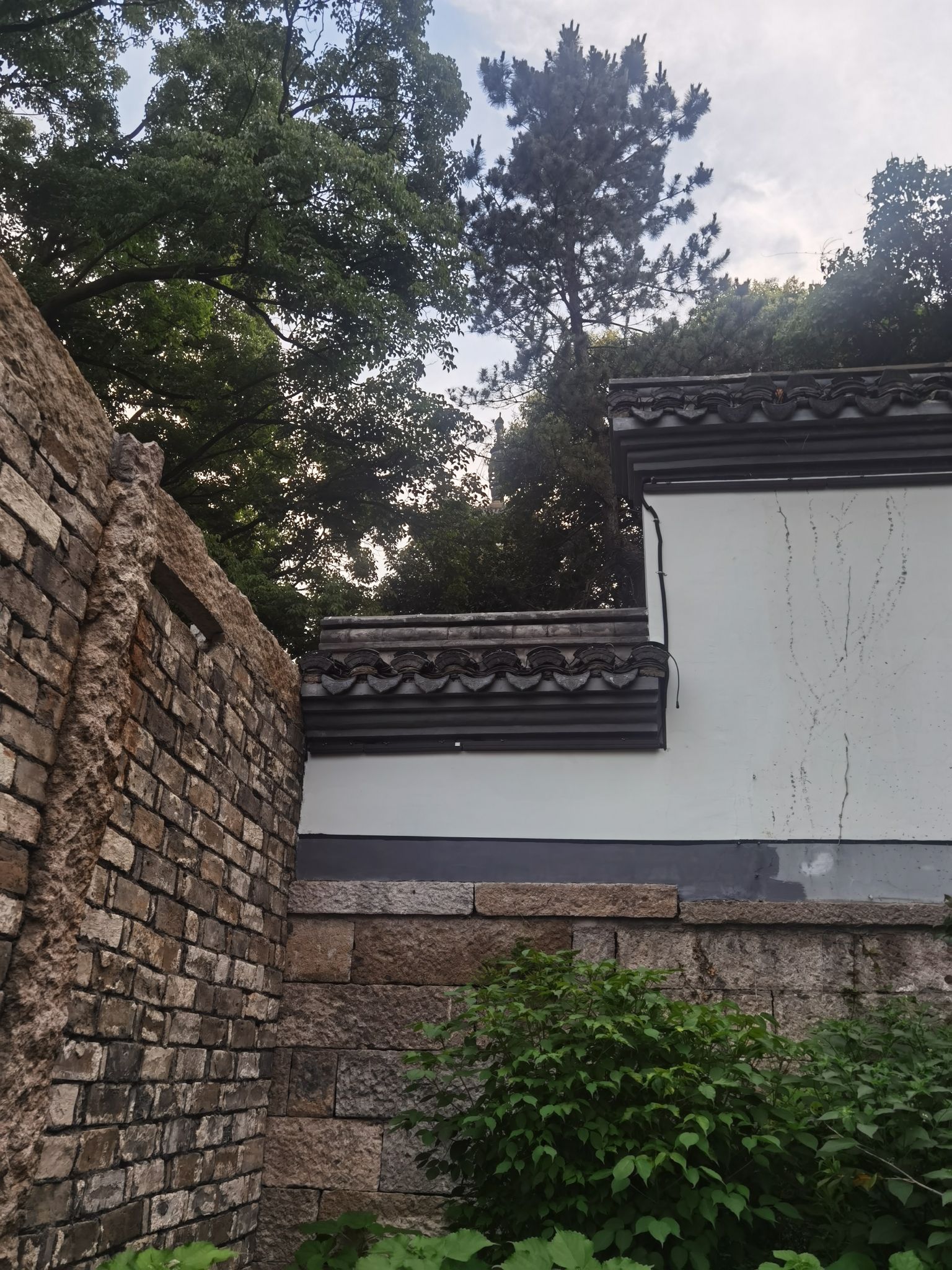 塔山园旅行图片 3