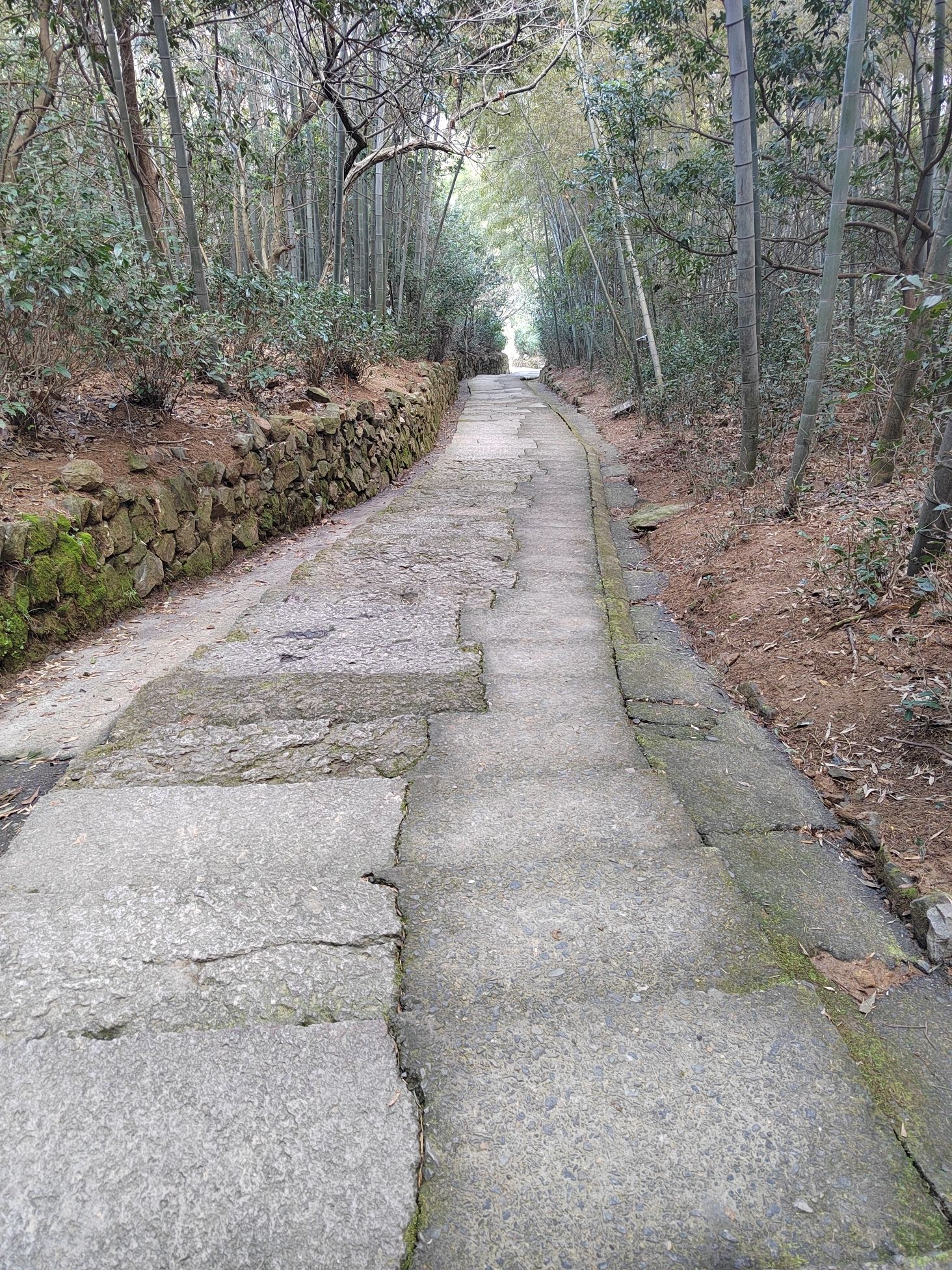 越王峥旅行图片 1