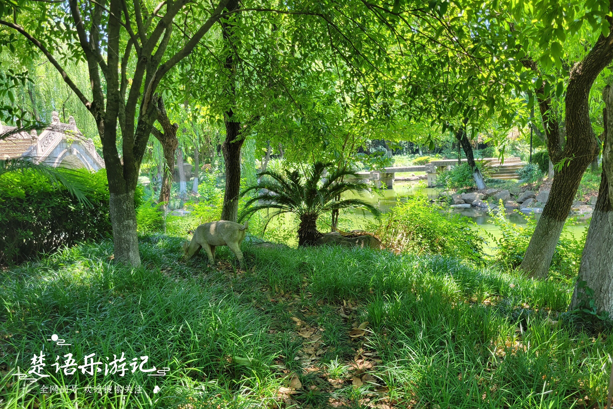 鹿湖园旅行图片 1