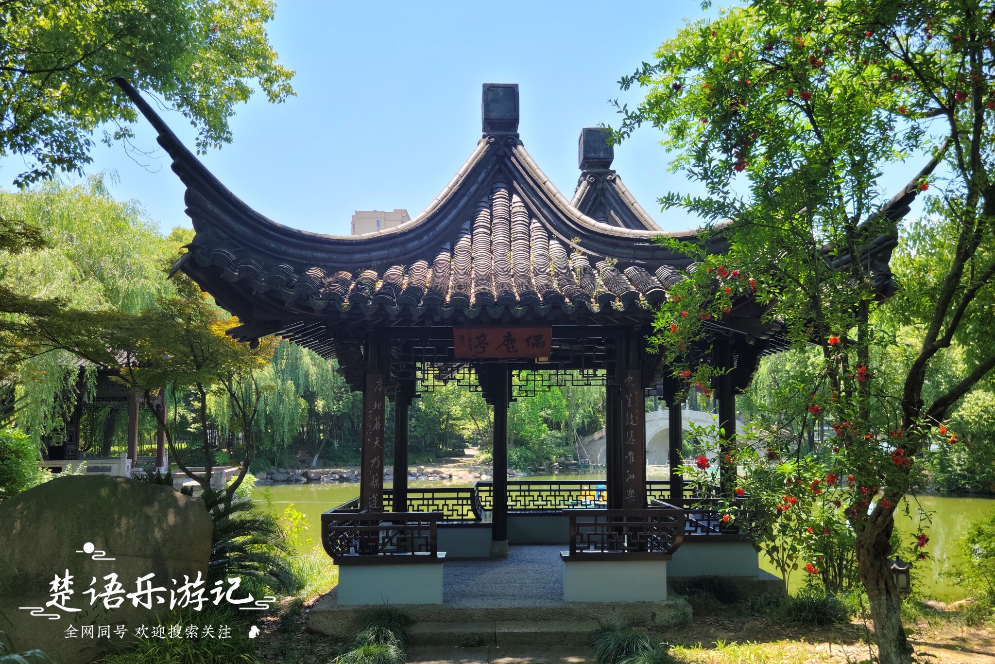 鹿湖园旅行图片 3