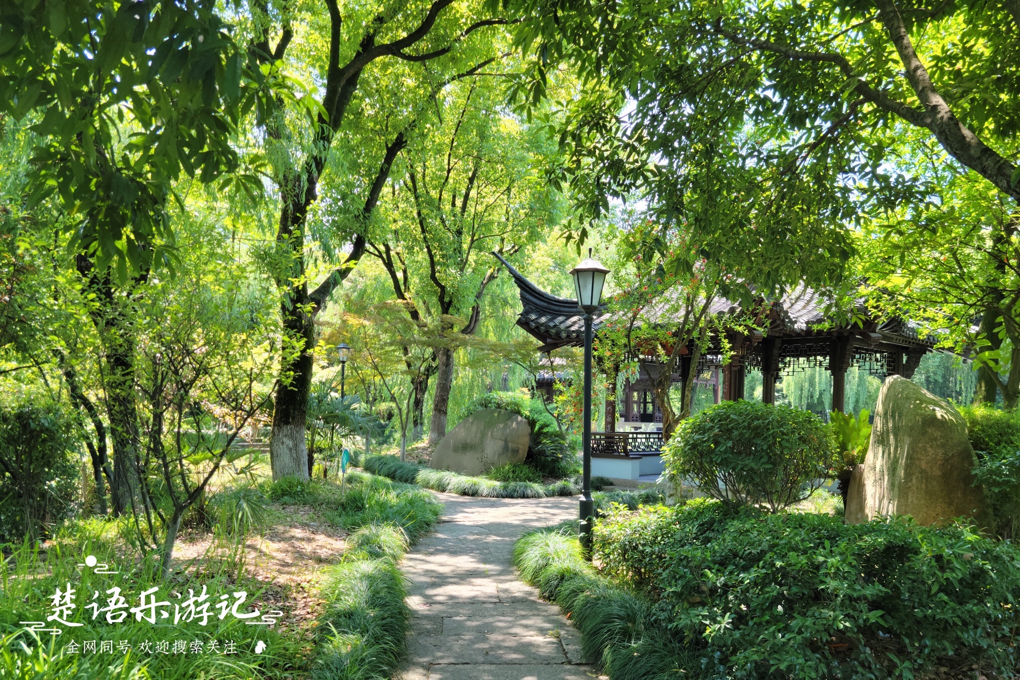 鹿湖园旅行图片 2