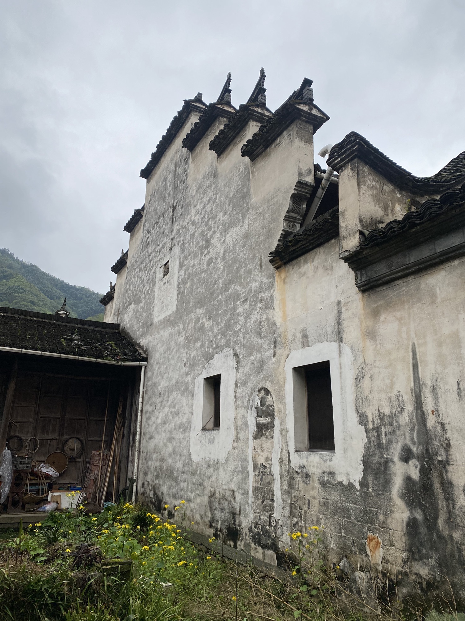 千柱屋旅行图片 2