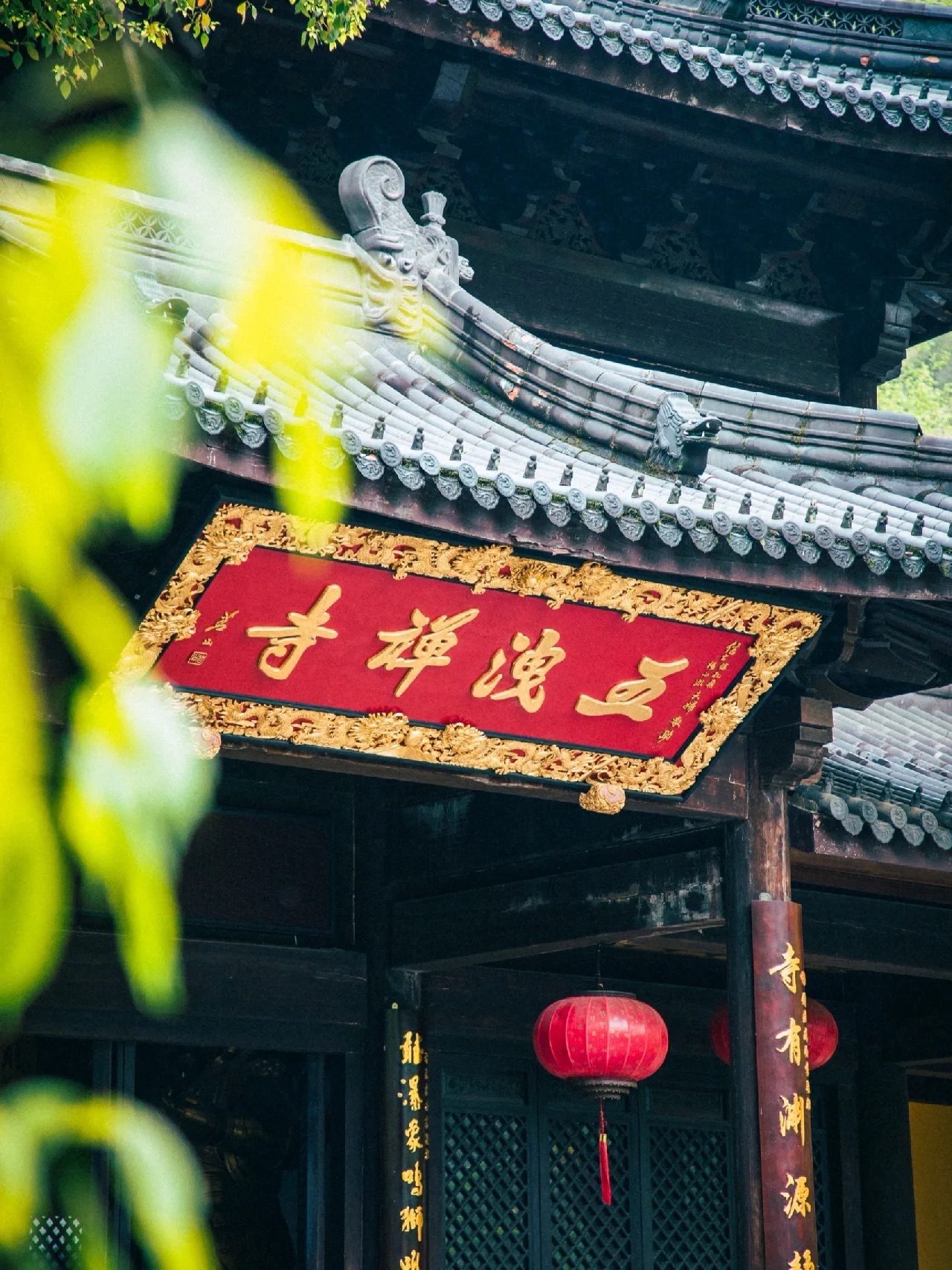 五泄风景区旅行图片 3