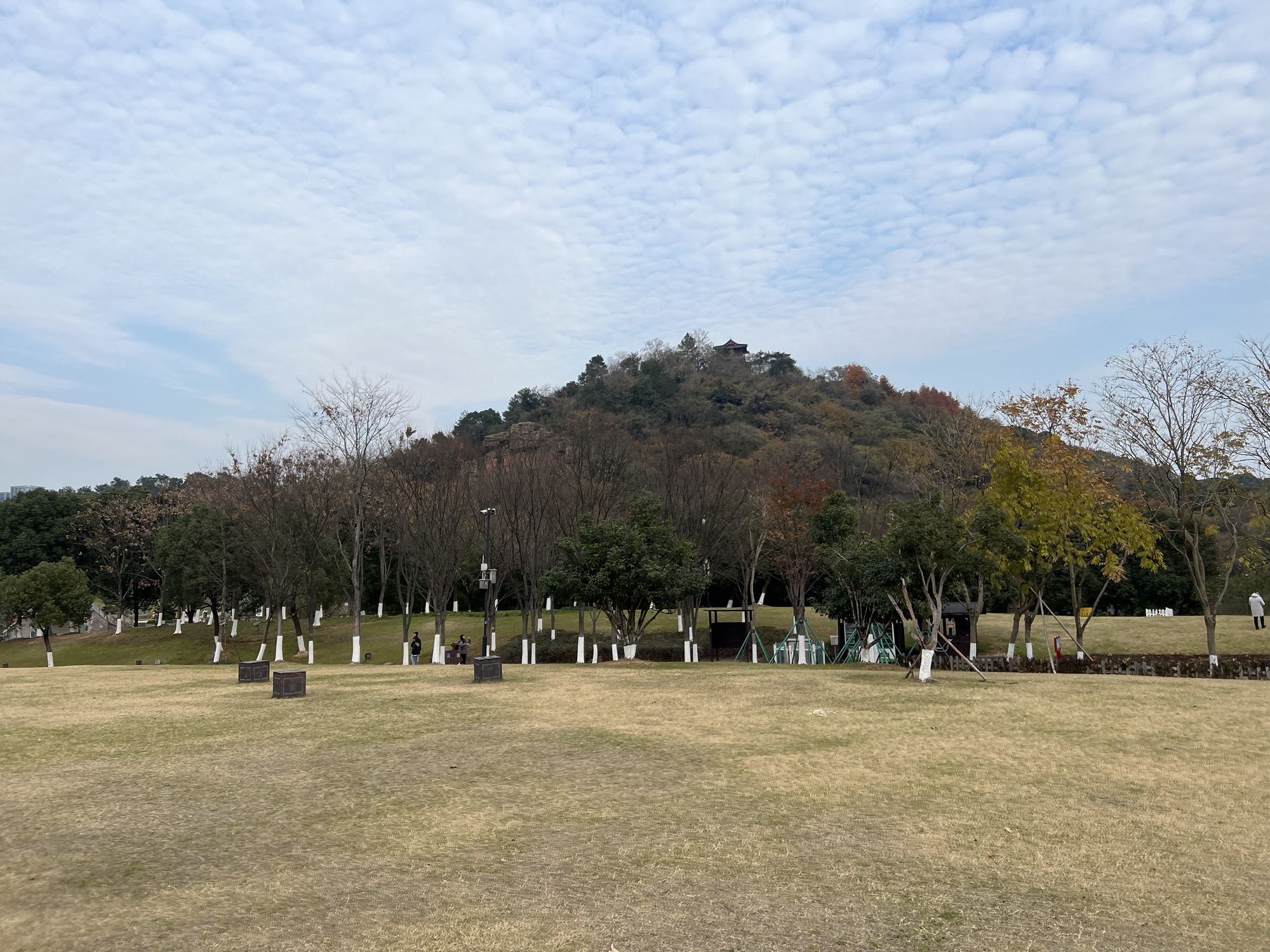 镜湖国家城市湿地公园旅行图片 2