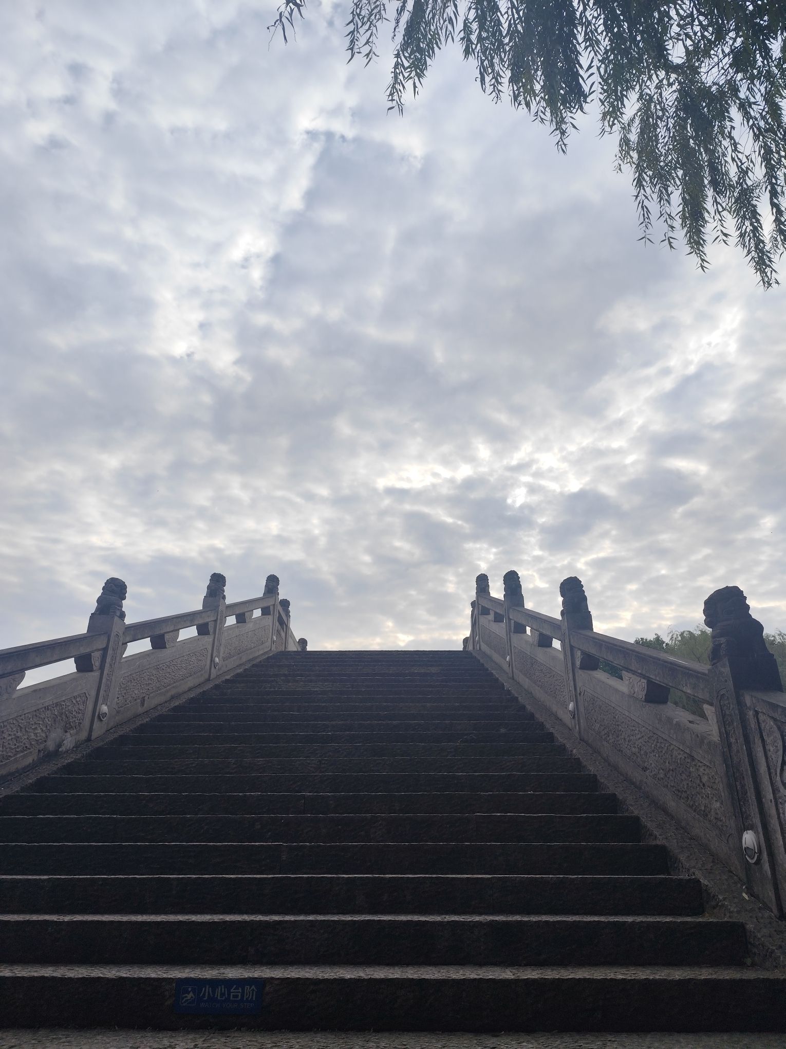 镜湖国家城市湿地公园旅行图片 2