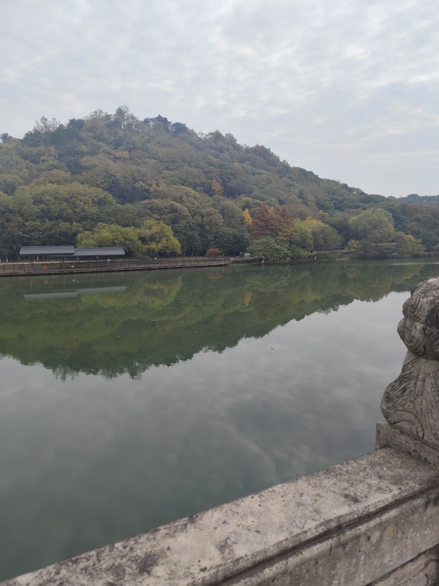 镜湖国家城市湿地公园旅行图片 3