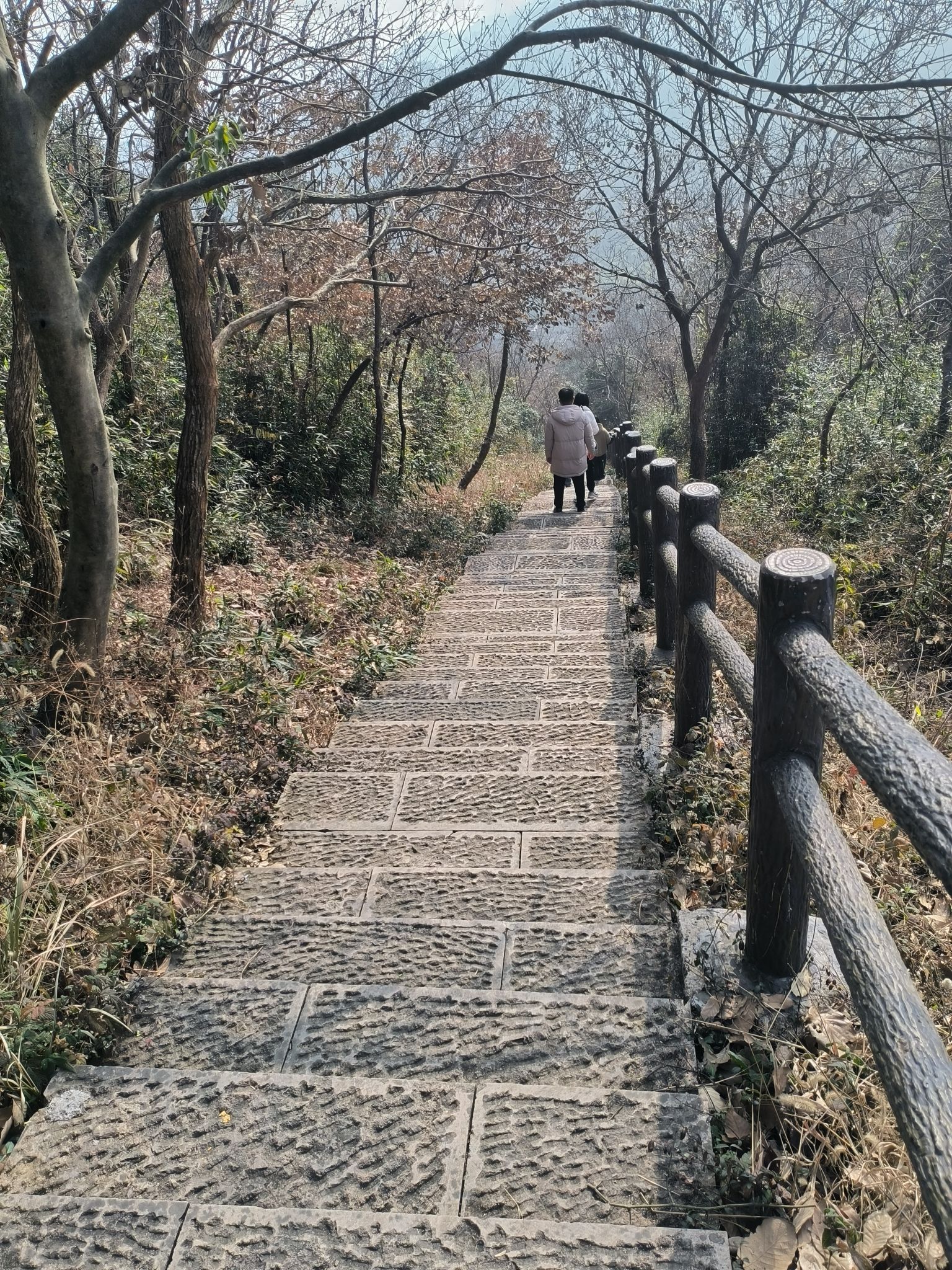 豆雾尖旅行图片 2