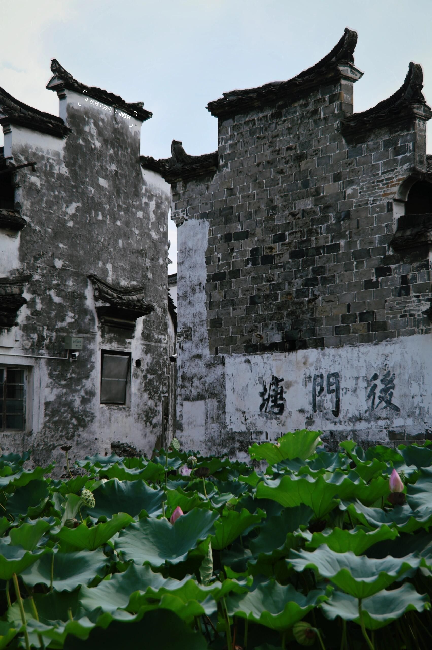 崇仁古镇旅行图片 3