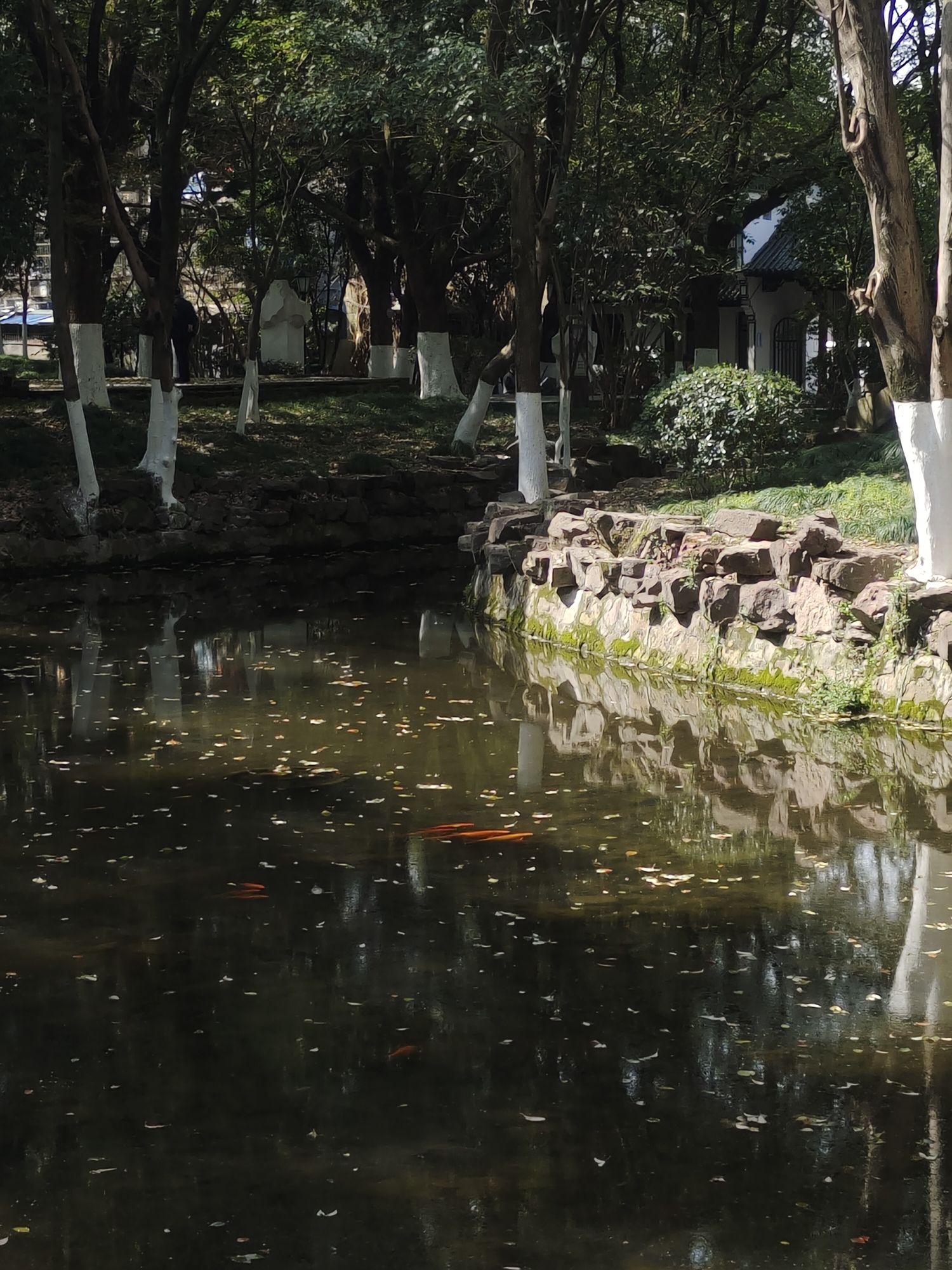 艮塔公园旅行图片 2