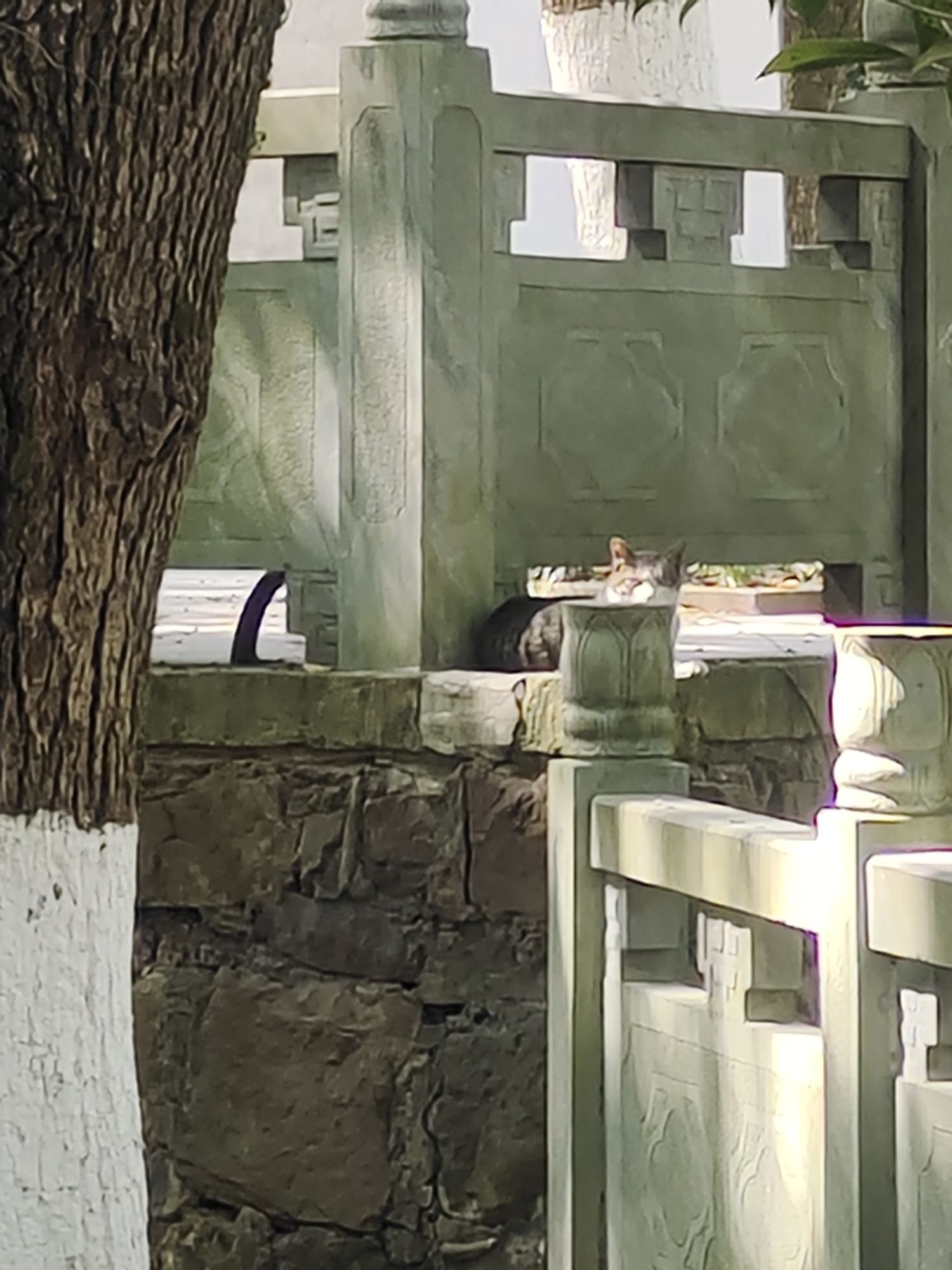 艮塔公园旅行图片 3