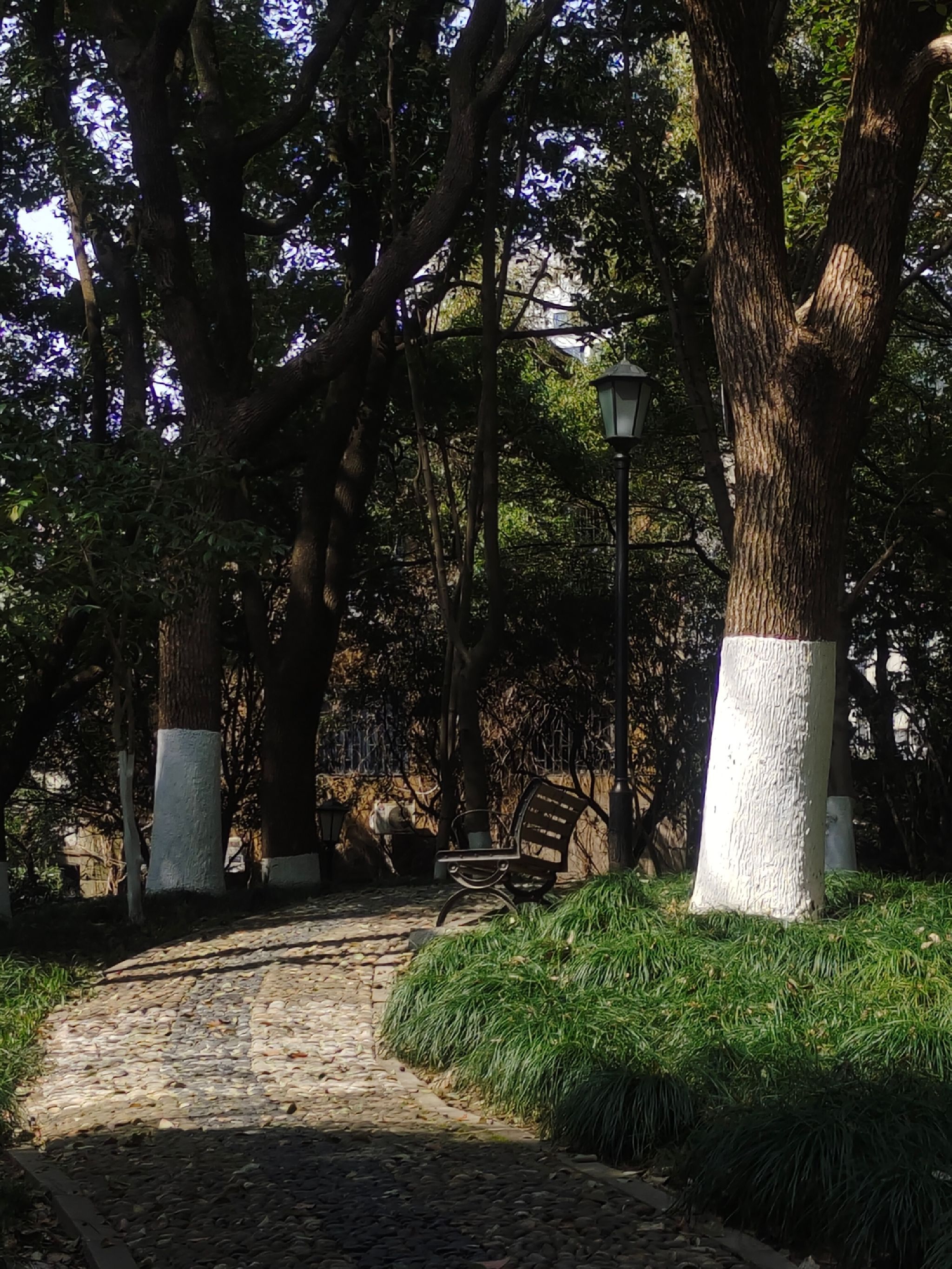 艮塔公园旅行图片 1