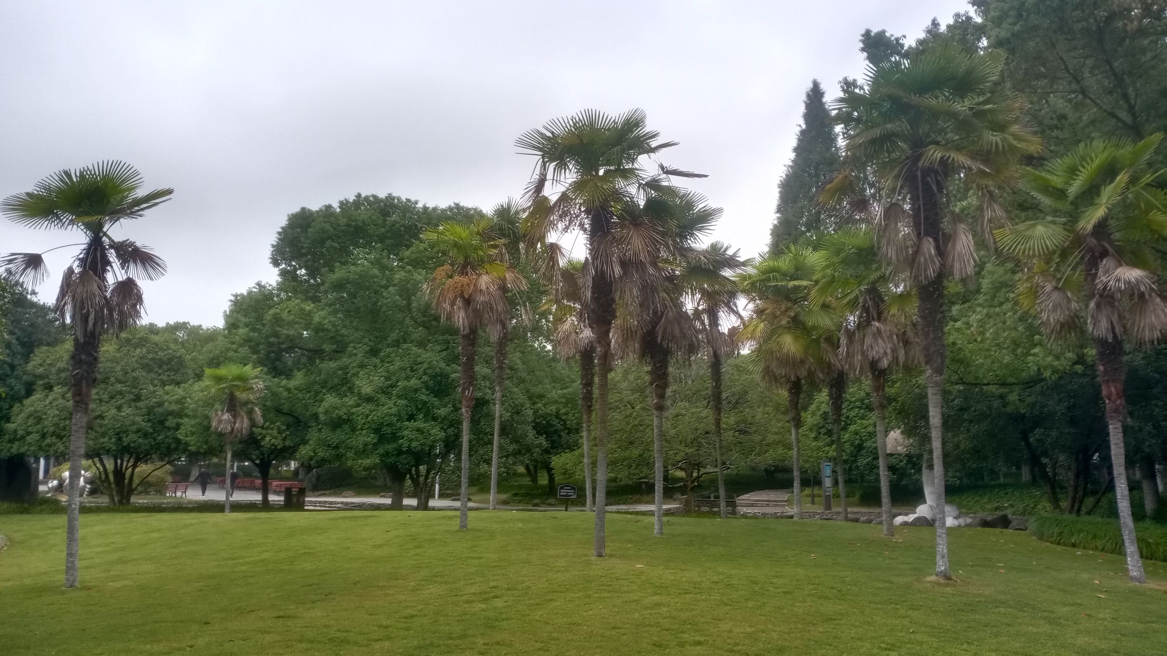 江东公园旅行图片 1