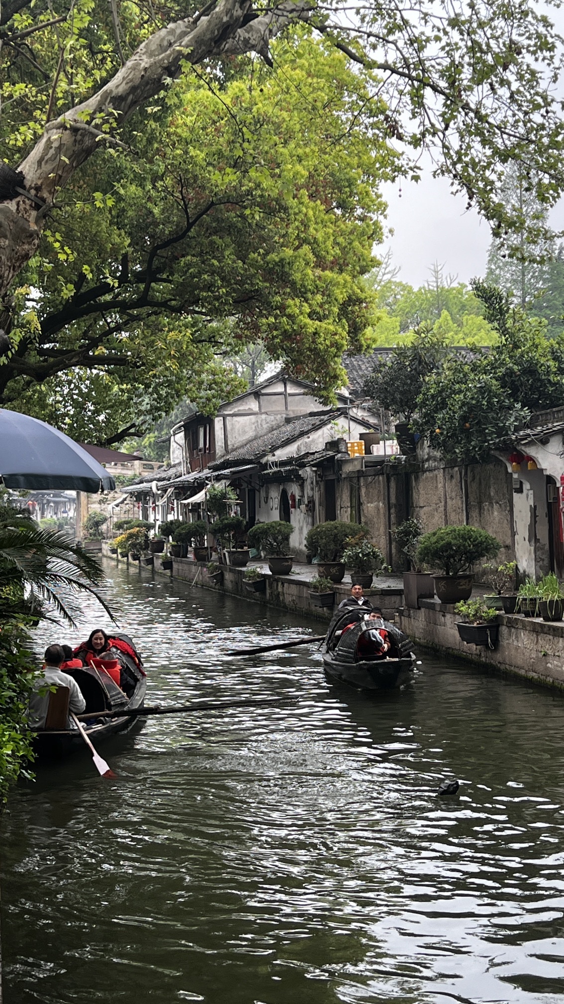 八字桥旅行图片 2