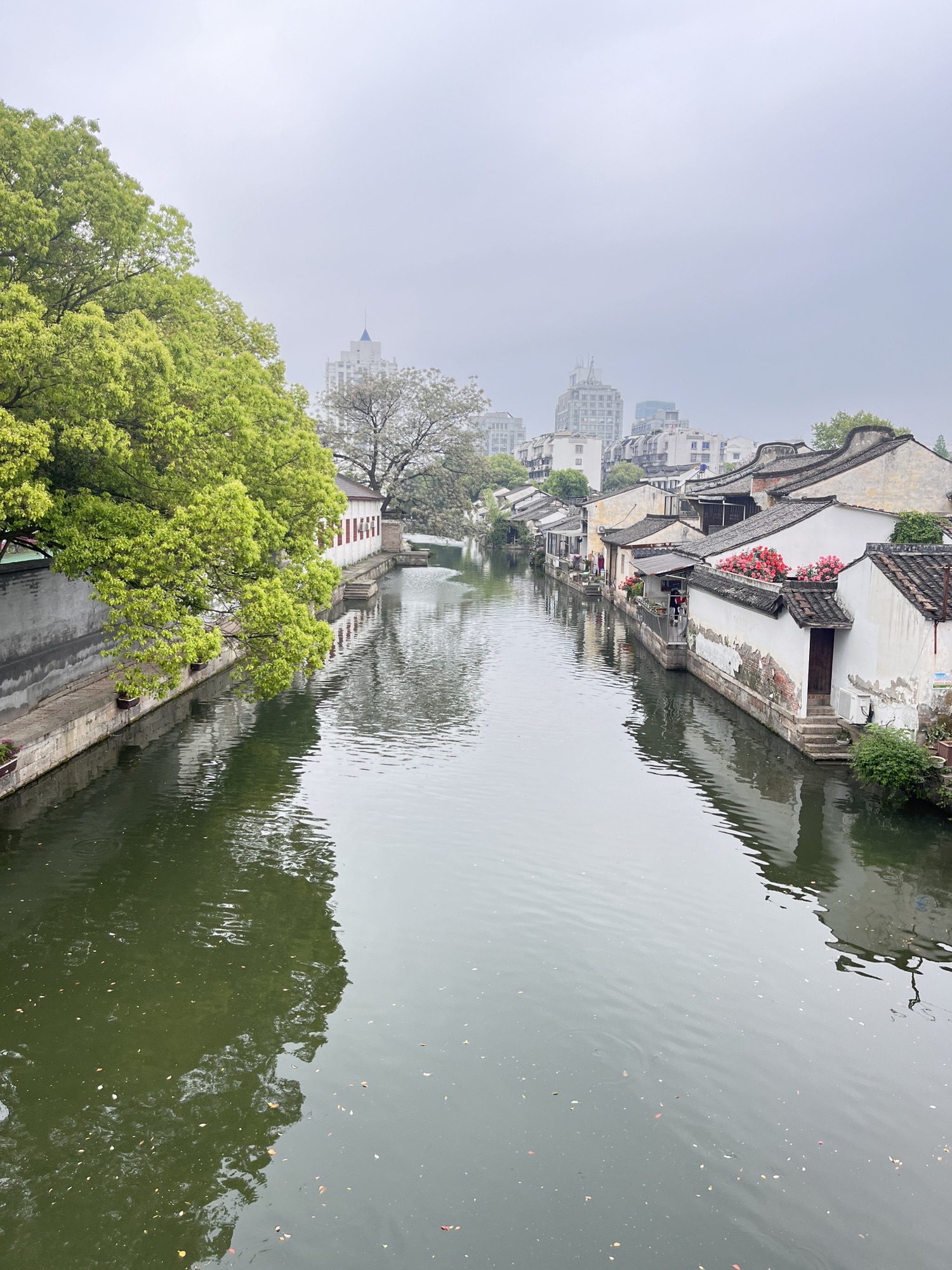 八字桥旅行图片 2