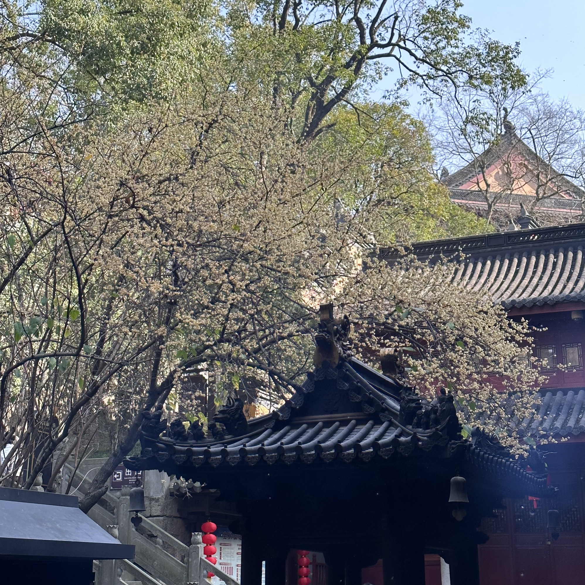 百丈岩景旅行图片 2