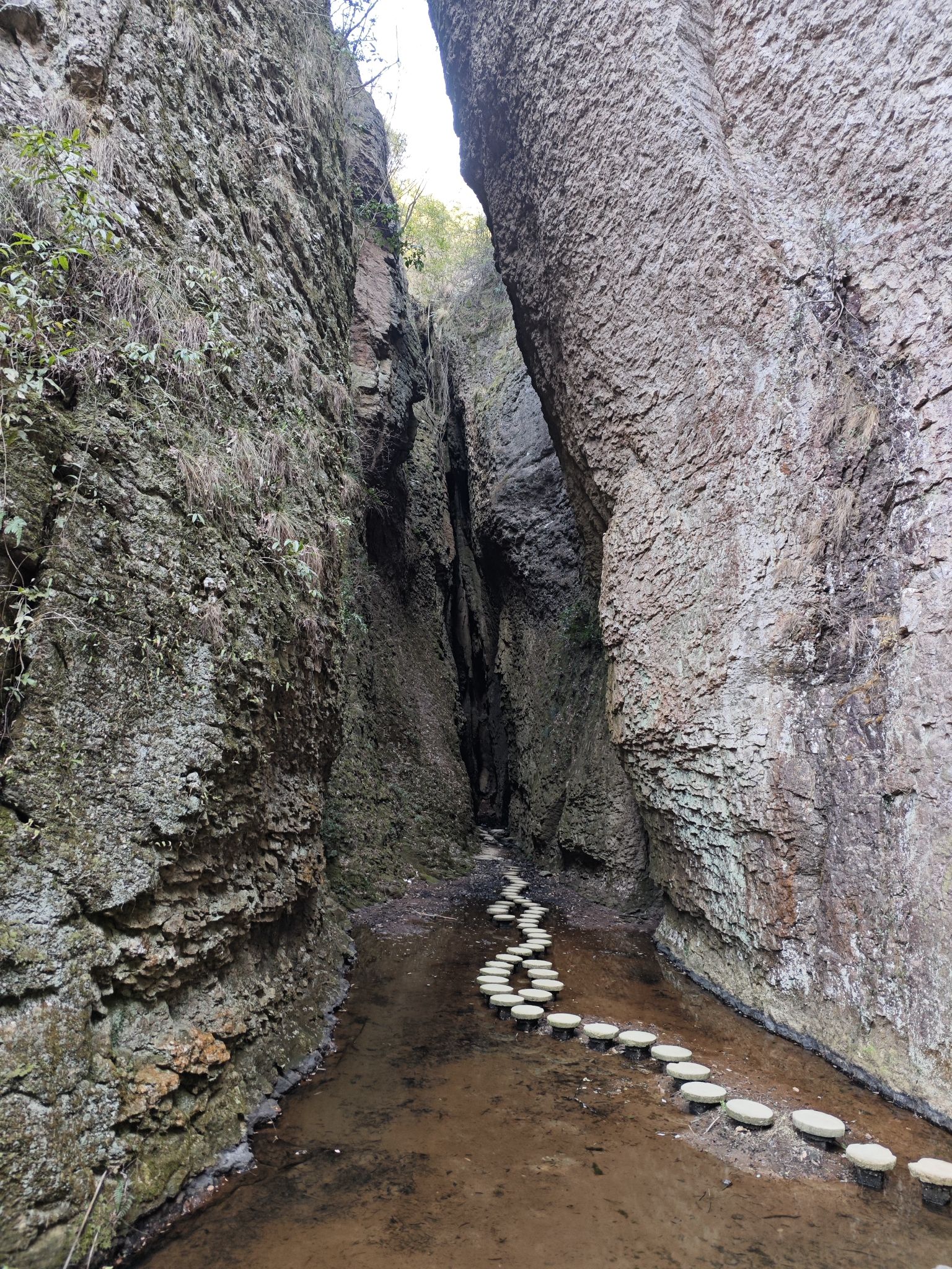 百丈岩景旅行图片 1