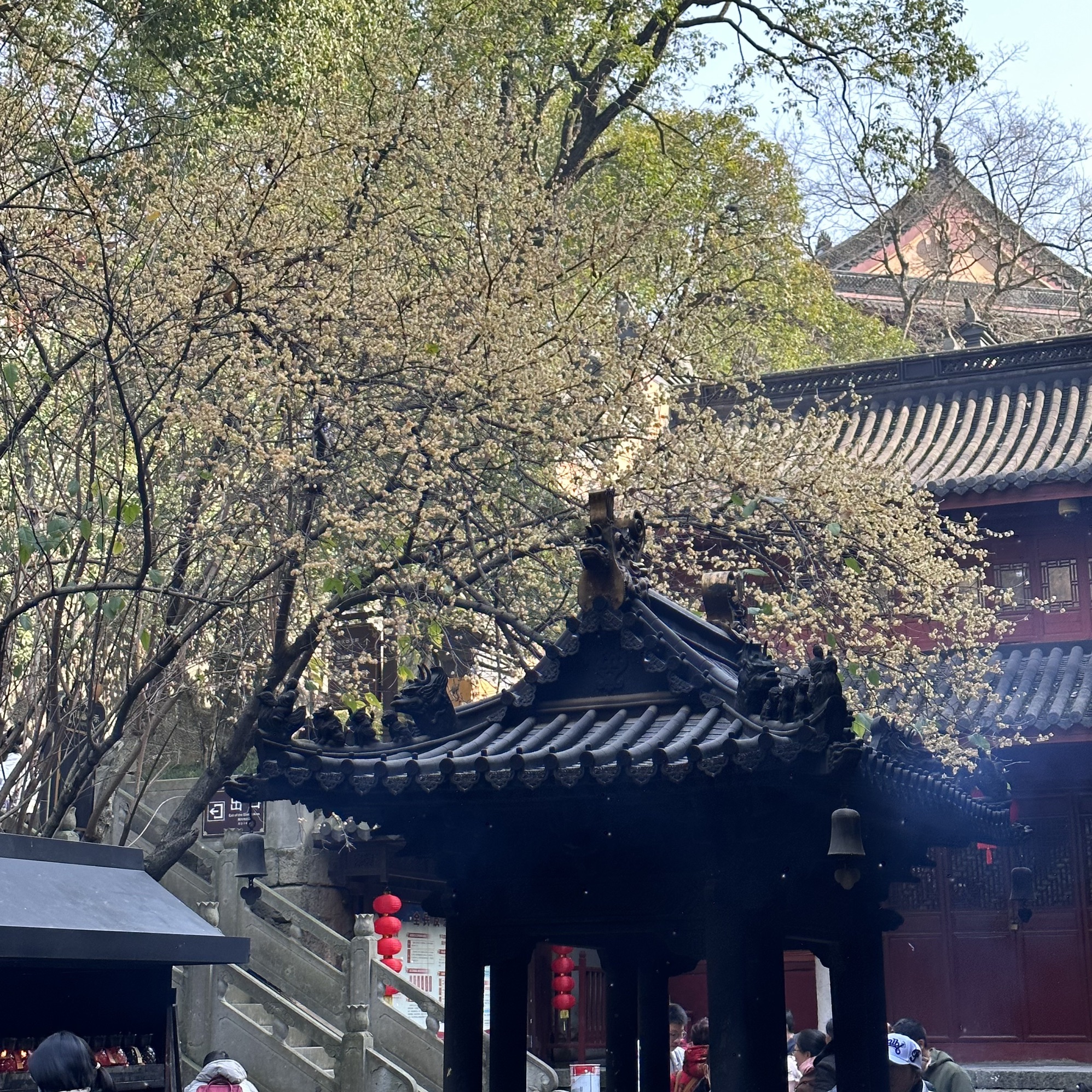 百丈岩景旅行图片 1