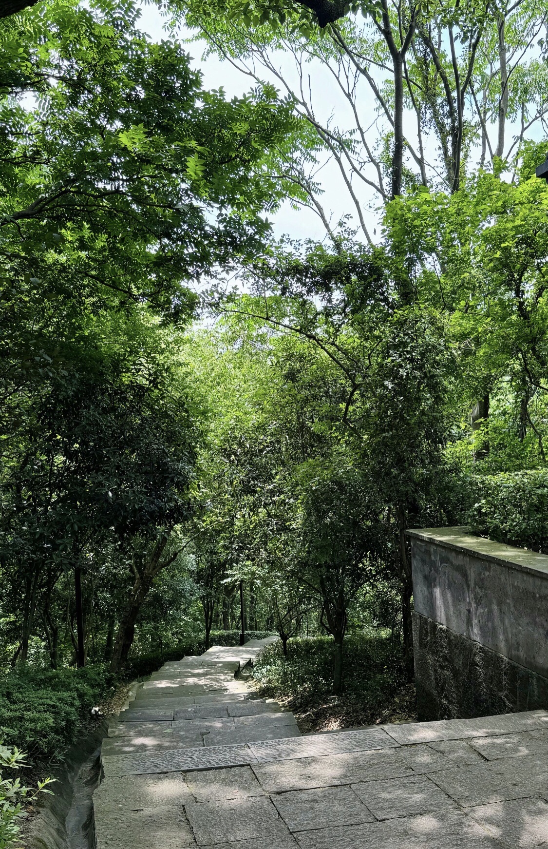 龙山公园旅行图片 2