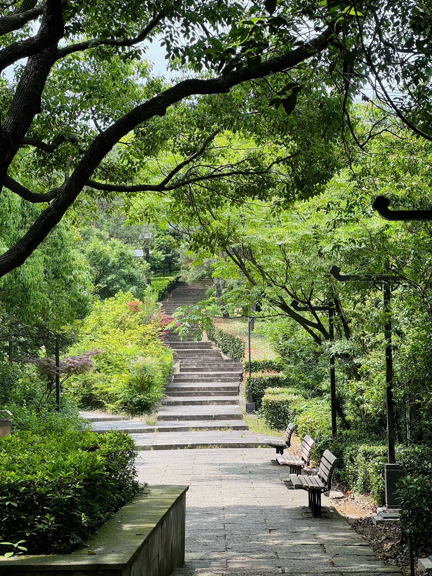 龙山公园旅行图片 3