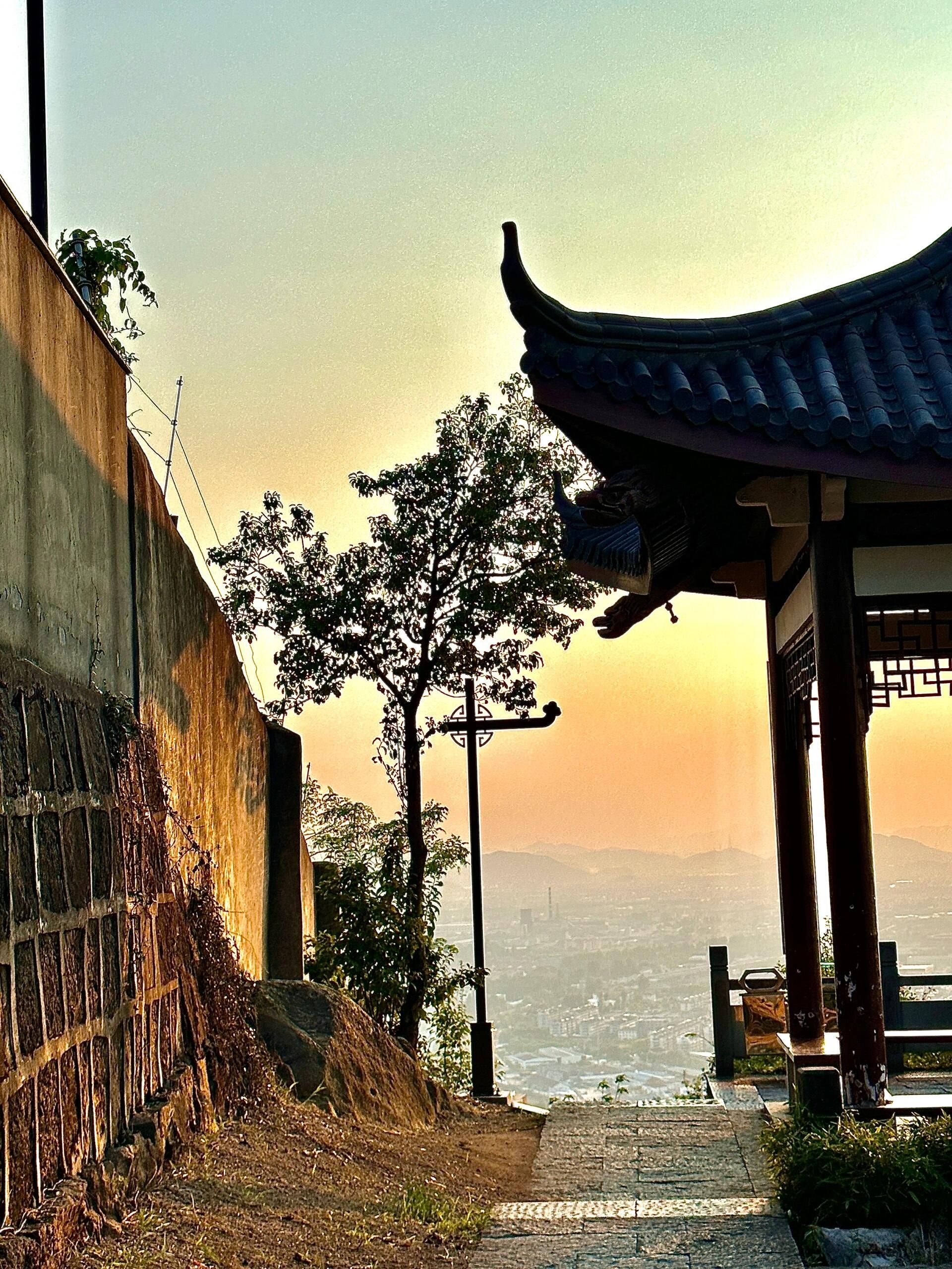 龙山公园旅行图片 1