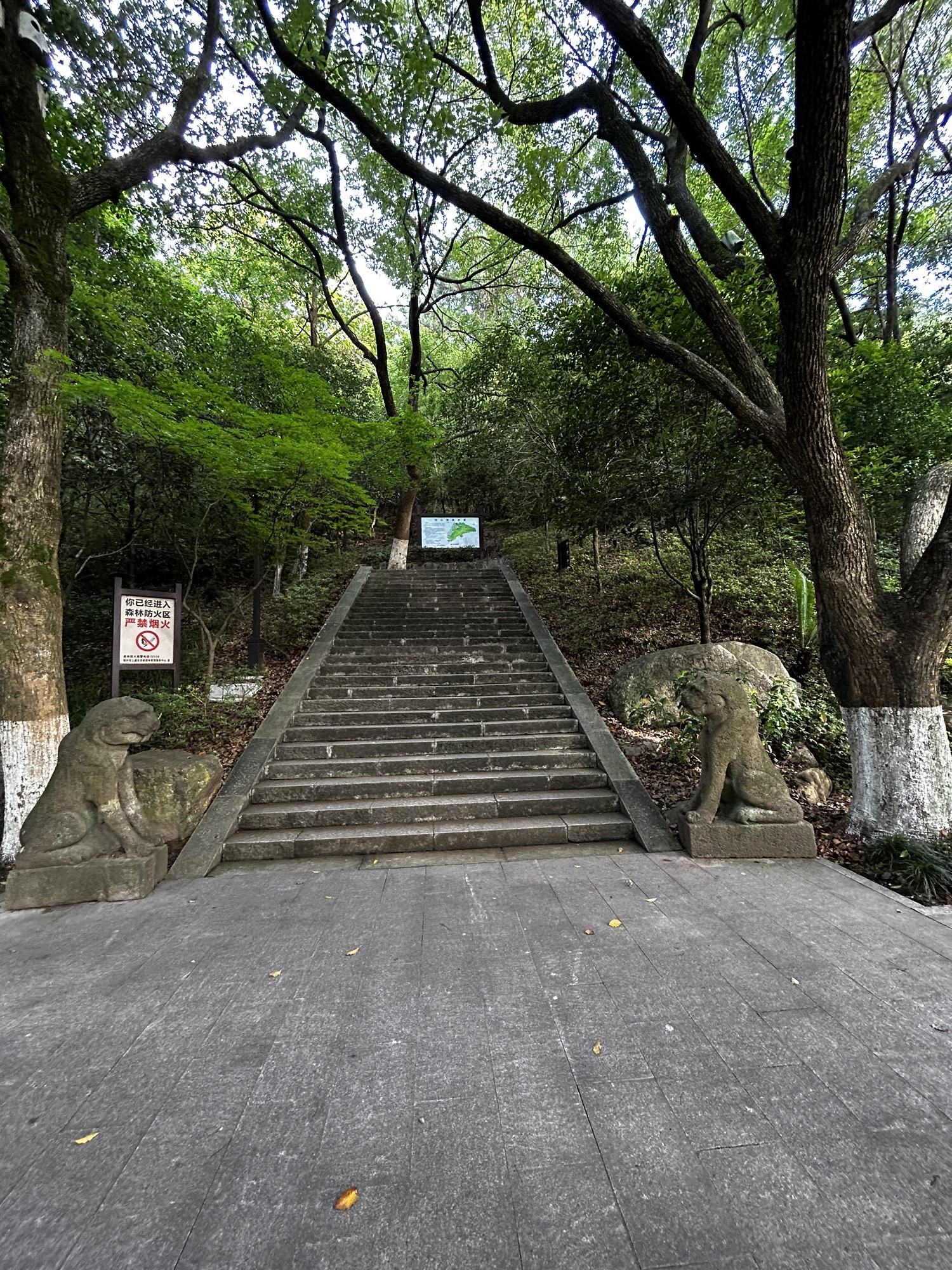 龙山公园旅行图片 2