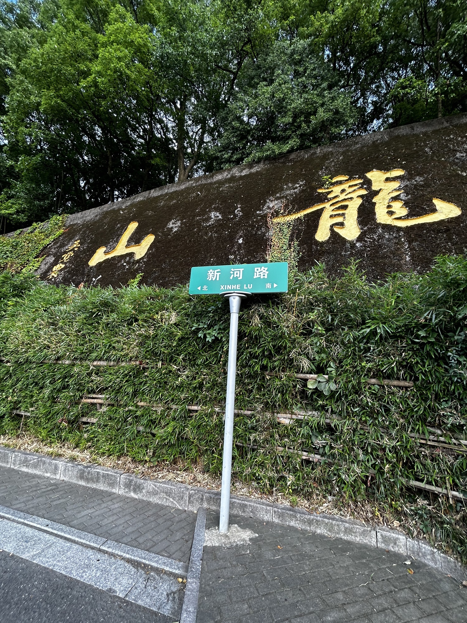 龙山公园旅行图片 1