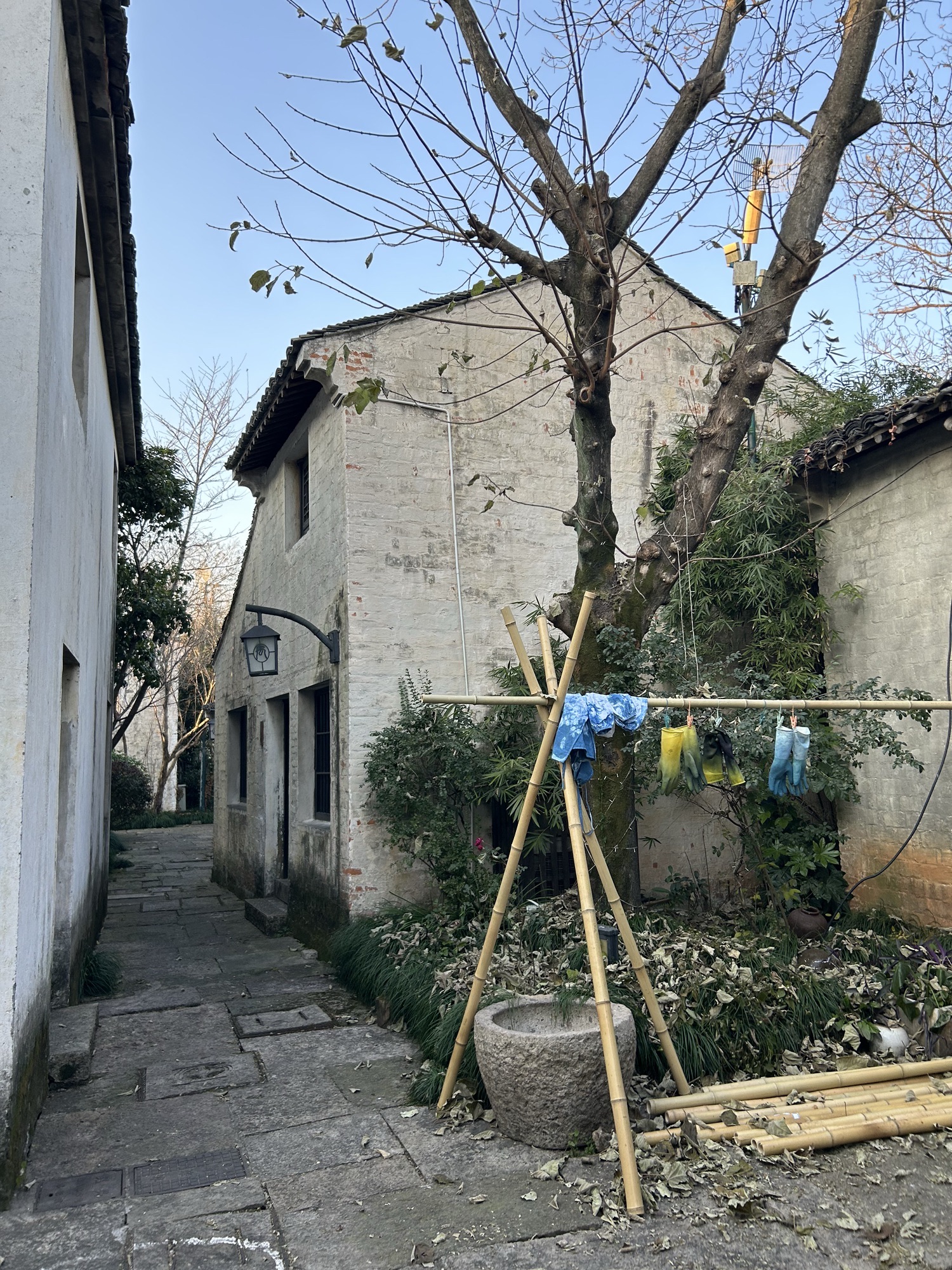 大禹陵景区旅行图片 3
