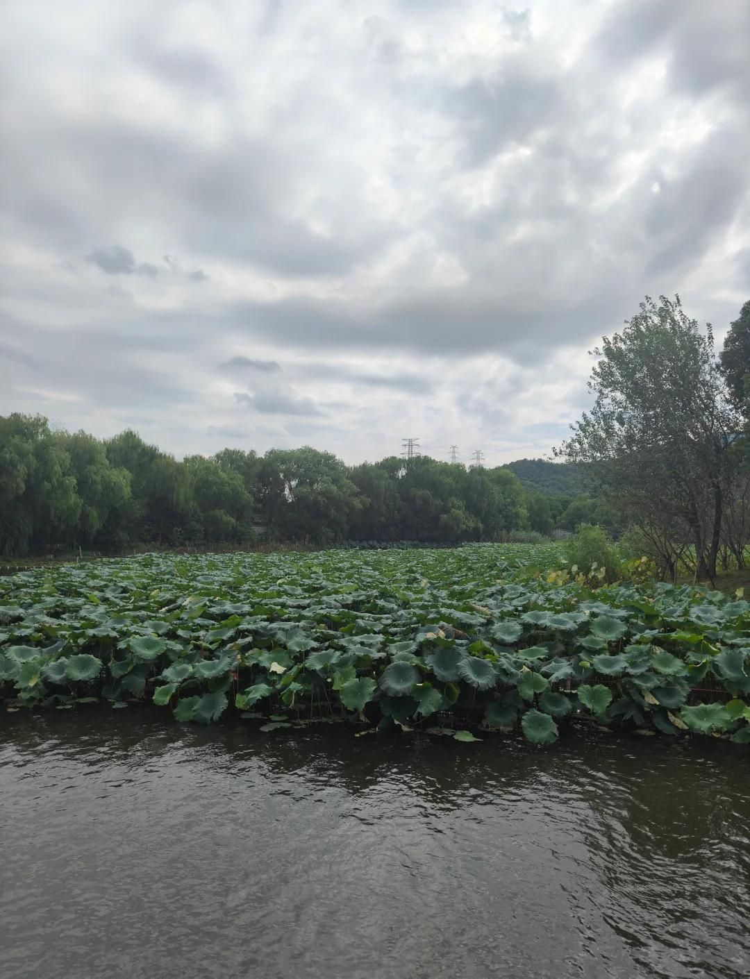 大禹陵景区旅行图片 1