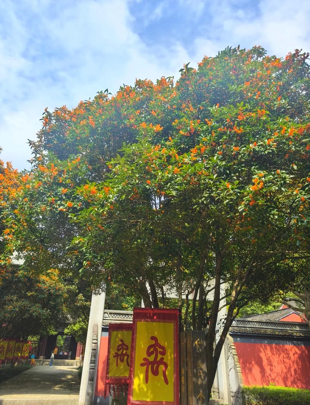 大禹陵景区旅行图片 2