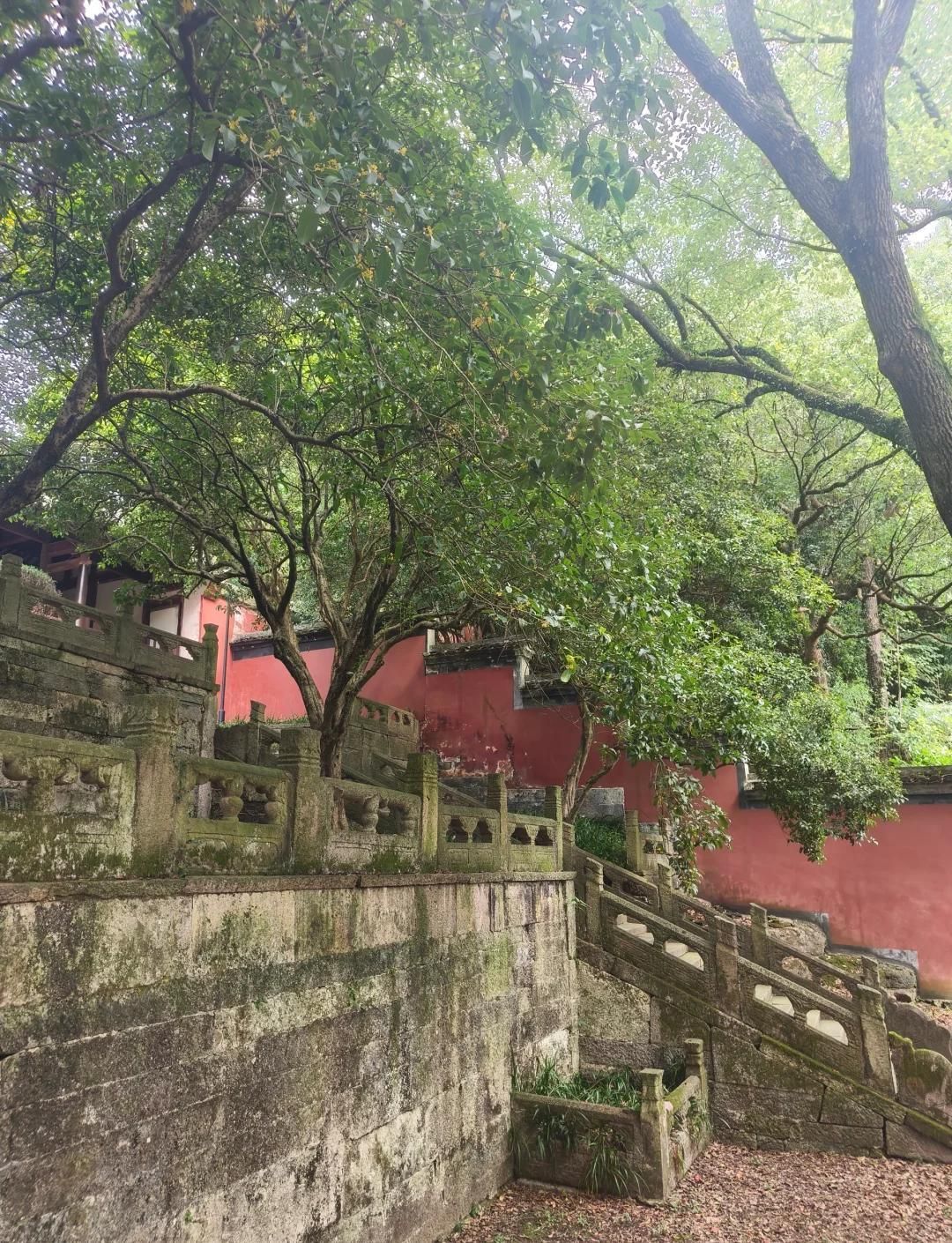 大禹陵景区旅行图片 3