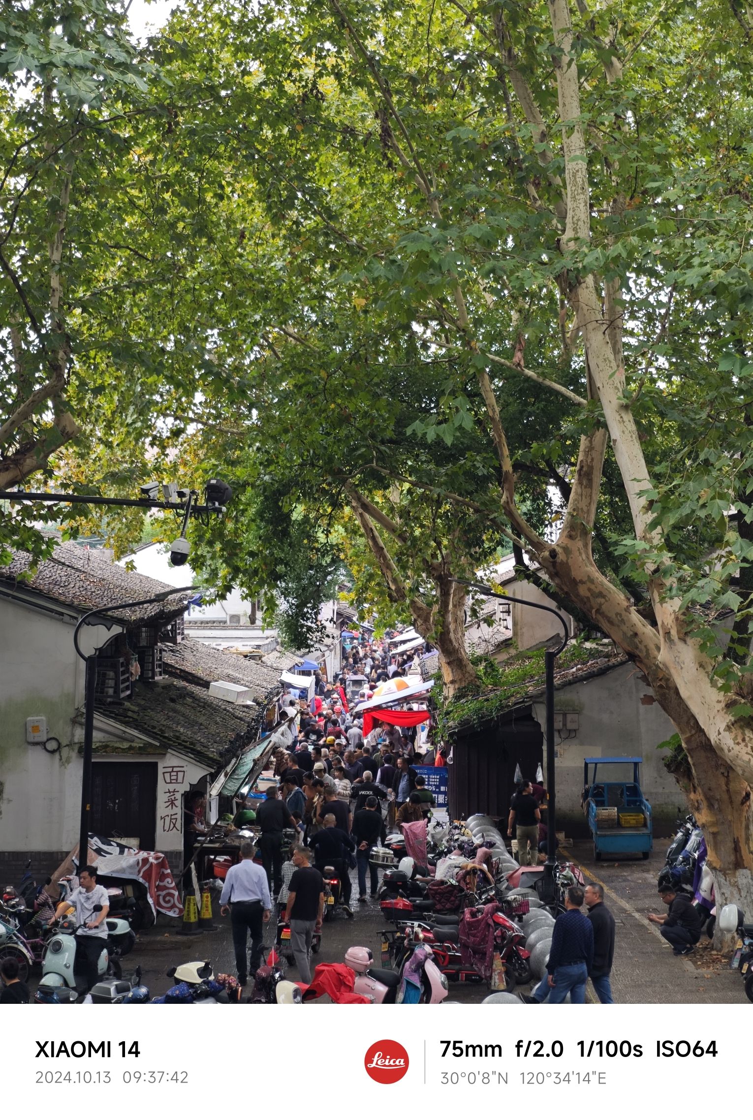 府山公园旅行图片 2