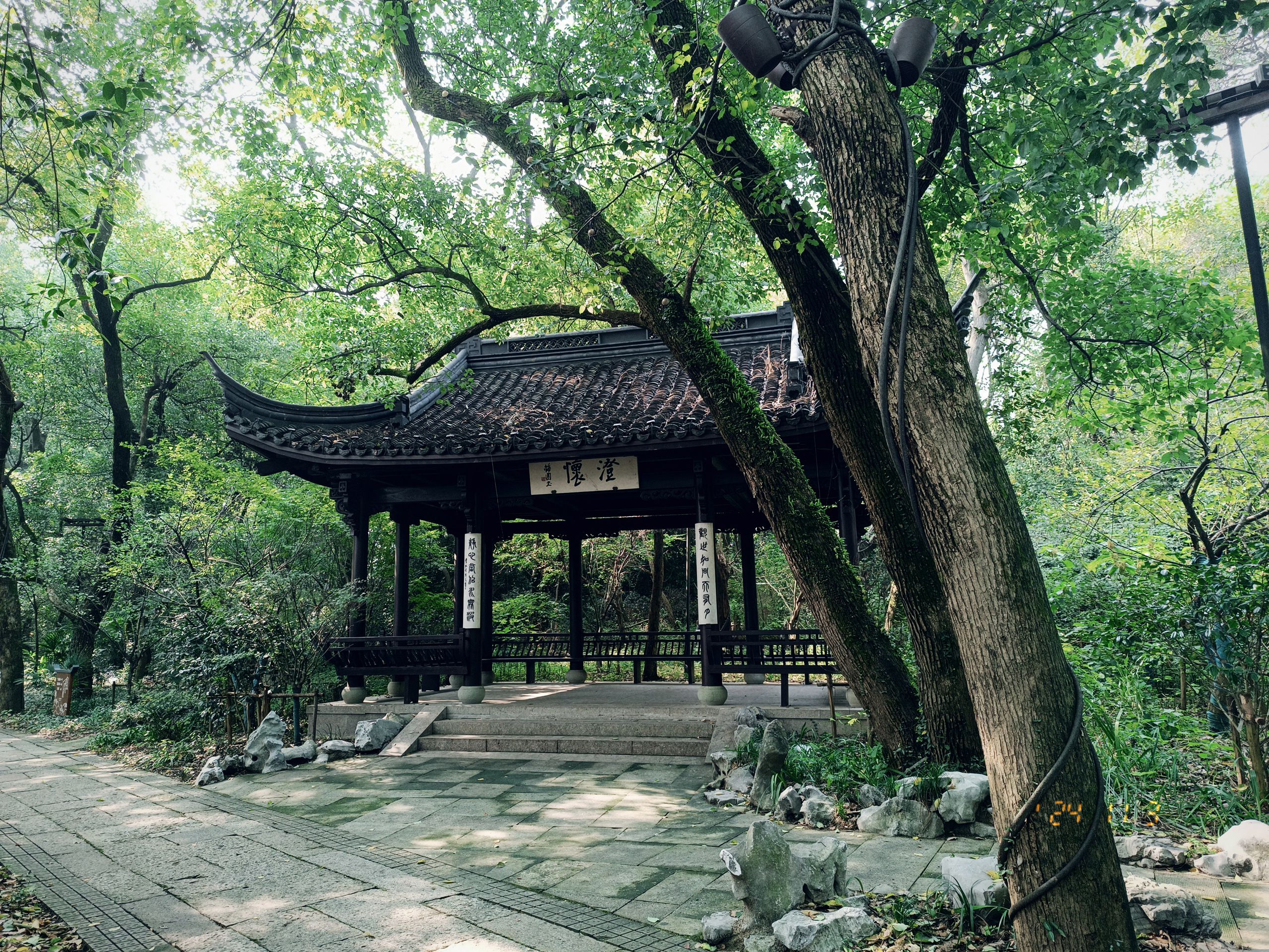 府山公园旅行图片 2