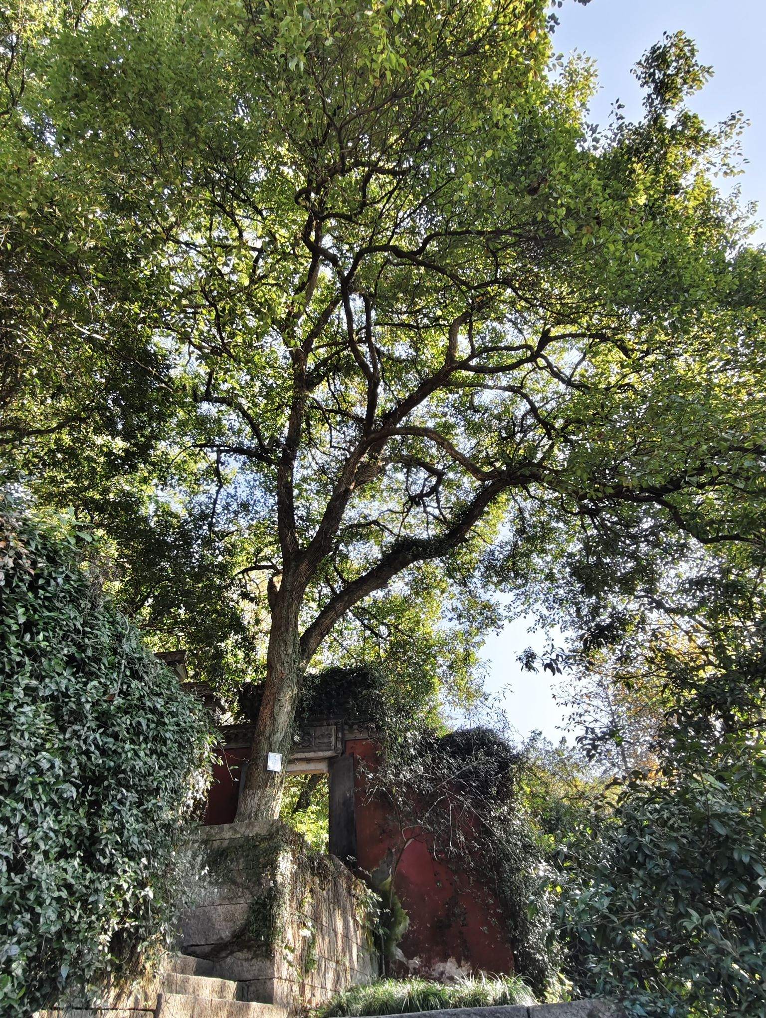 府山公园旅行图片 2