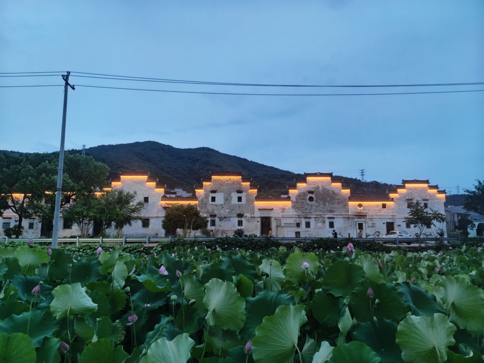 藏绿古建筑群旅行图片 2